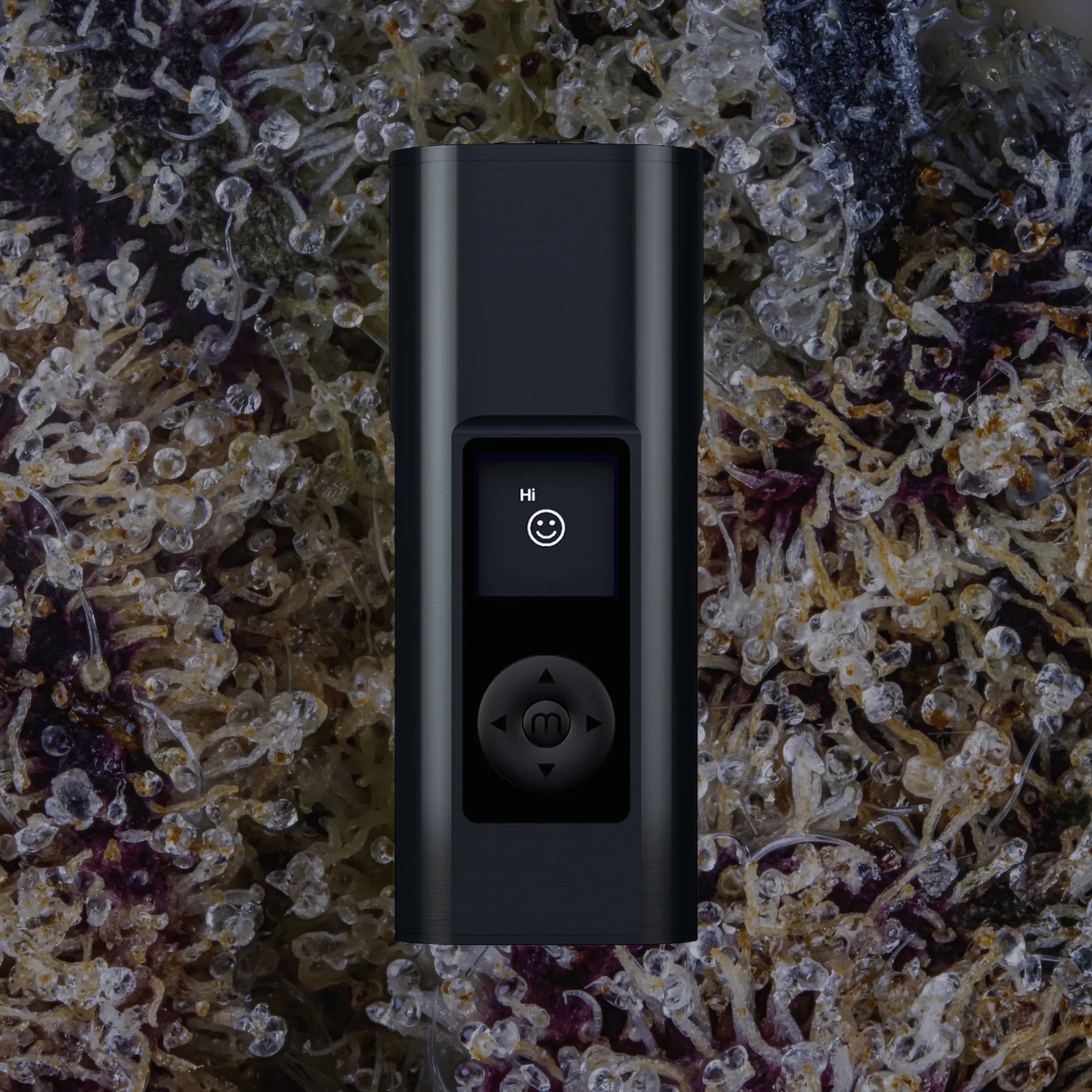 Arizer Solo III V2 | Trichly