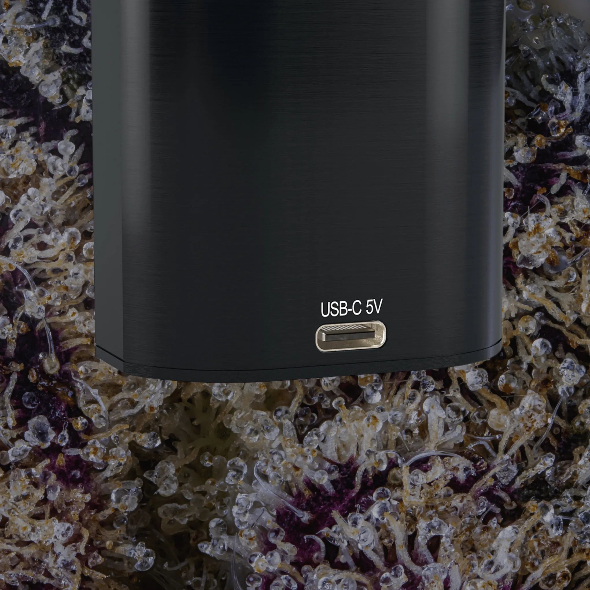 Arizer Solo III V2 | Trichly