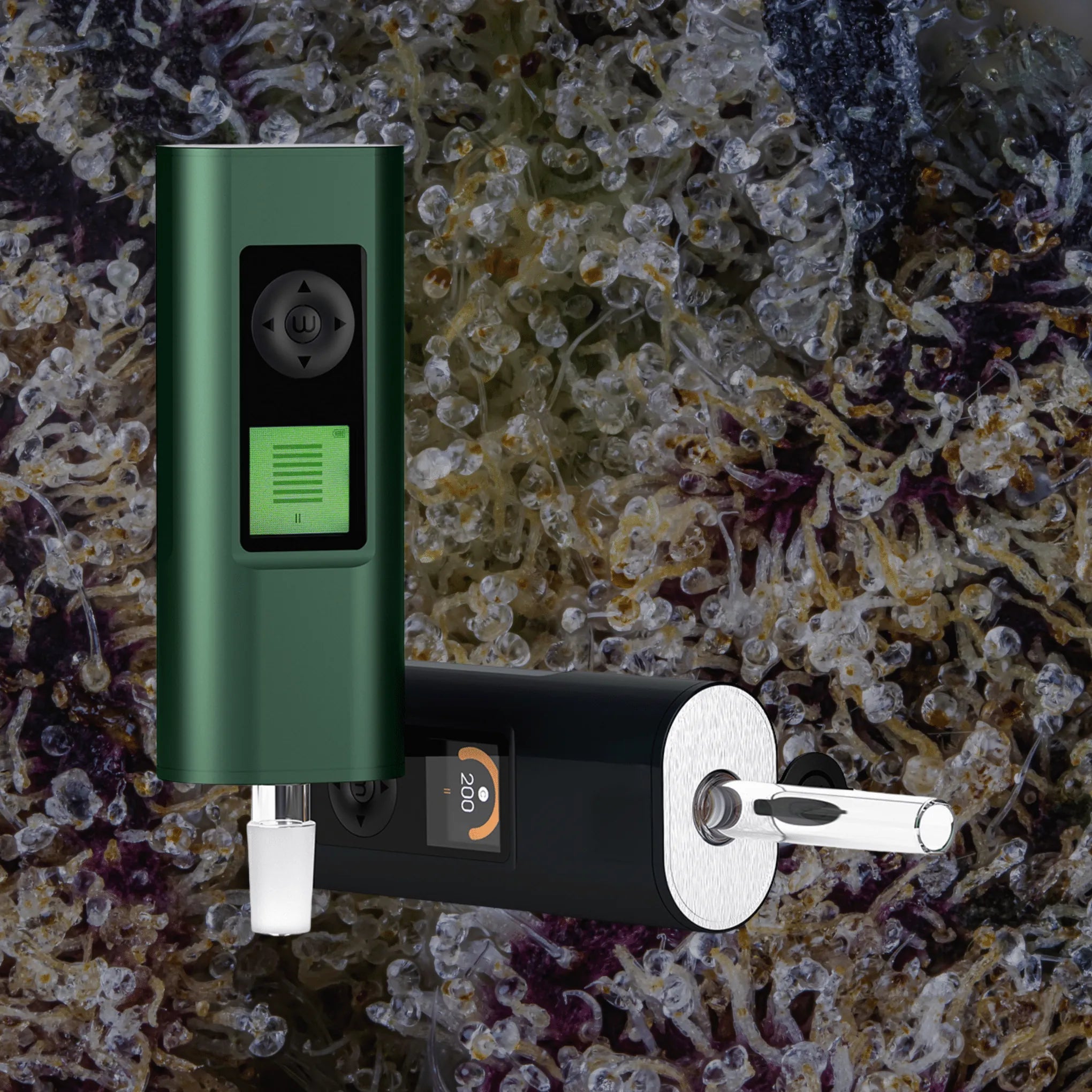 Arizer Solo III V2 | Trichly