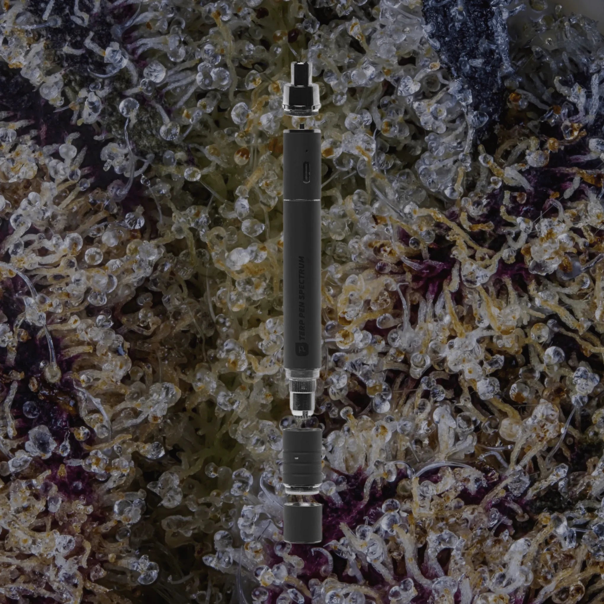 Terp Pen Spectrum Black | Trichly