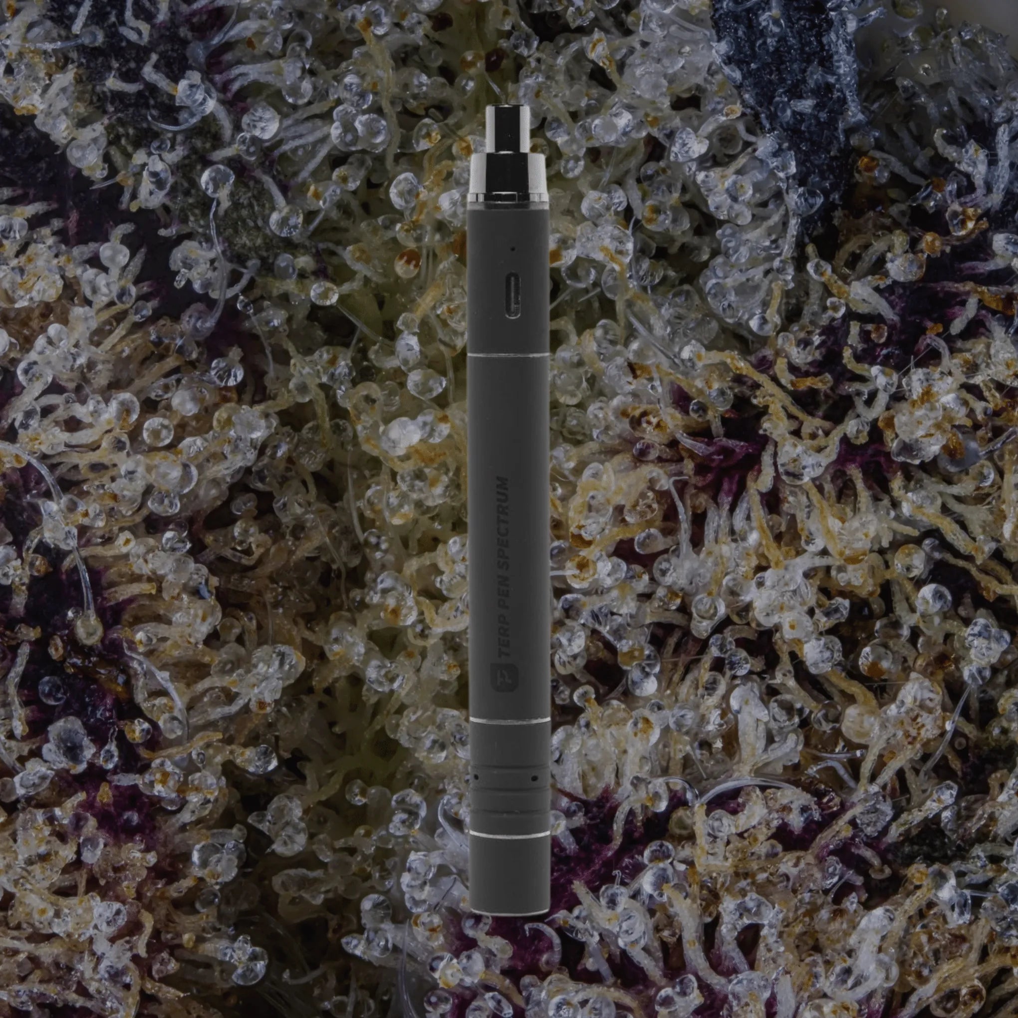 Terp Pen Spectrum Black | Trichly
