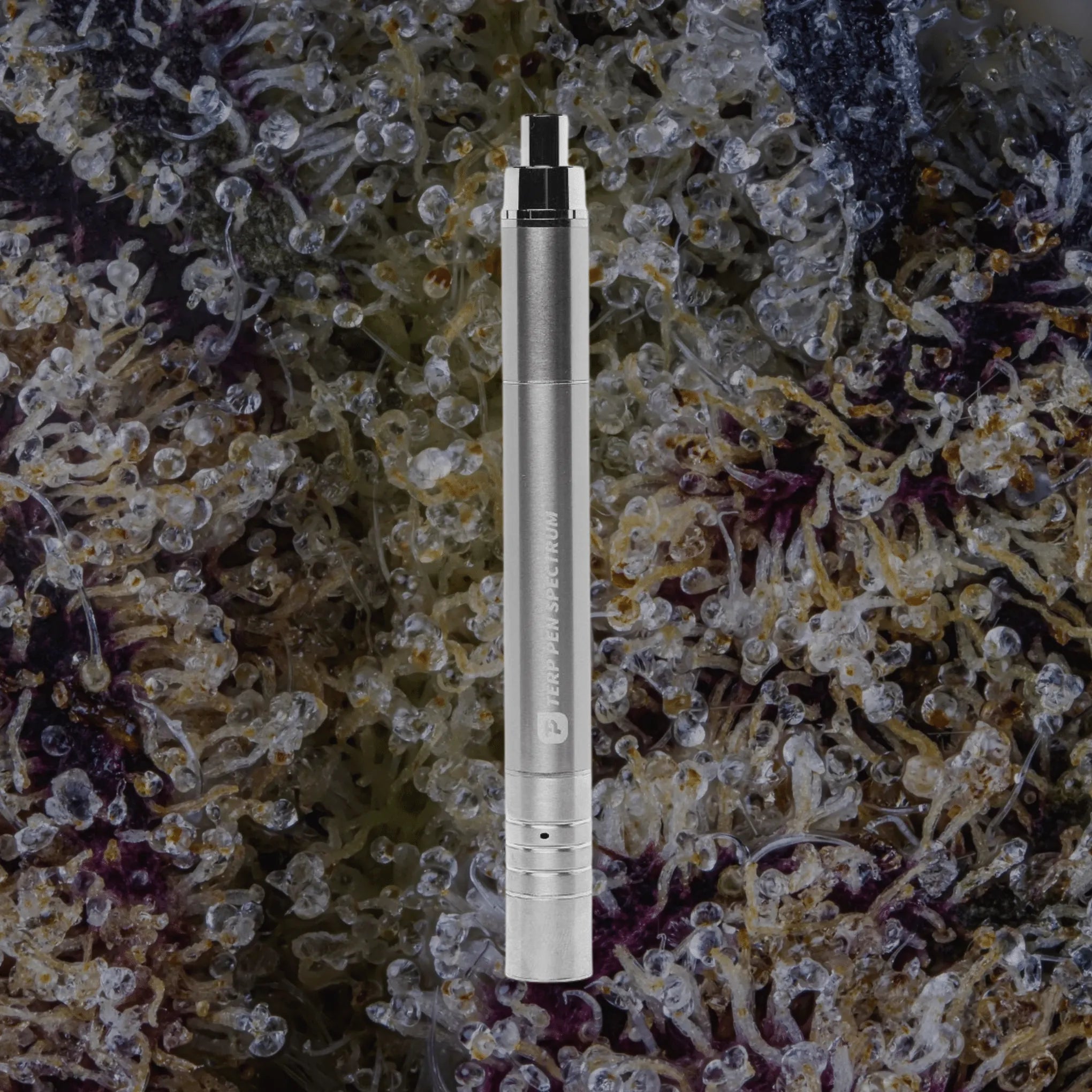 Terp Pen Spectrum Stainless Steel | Trichly