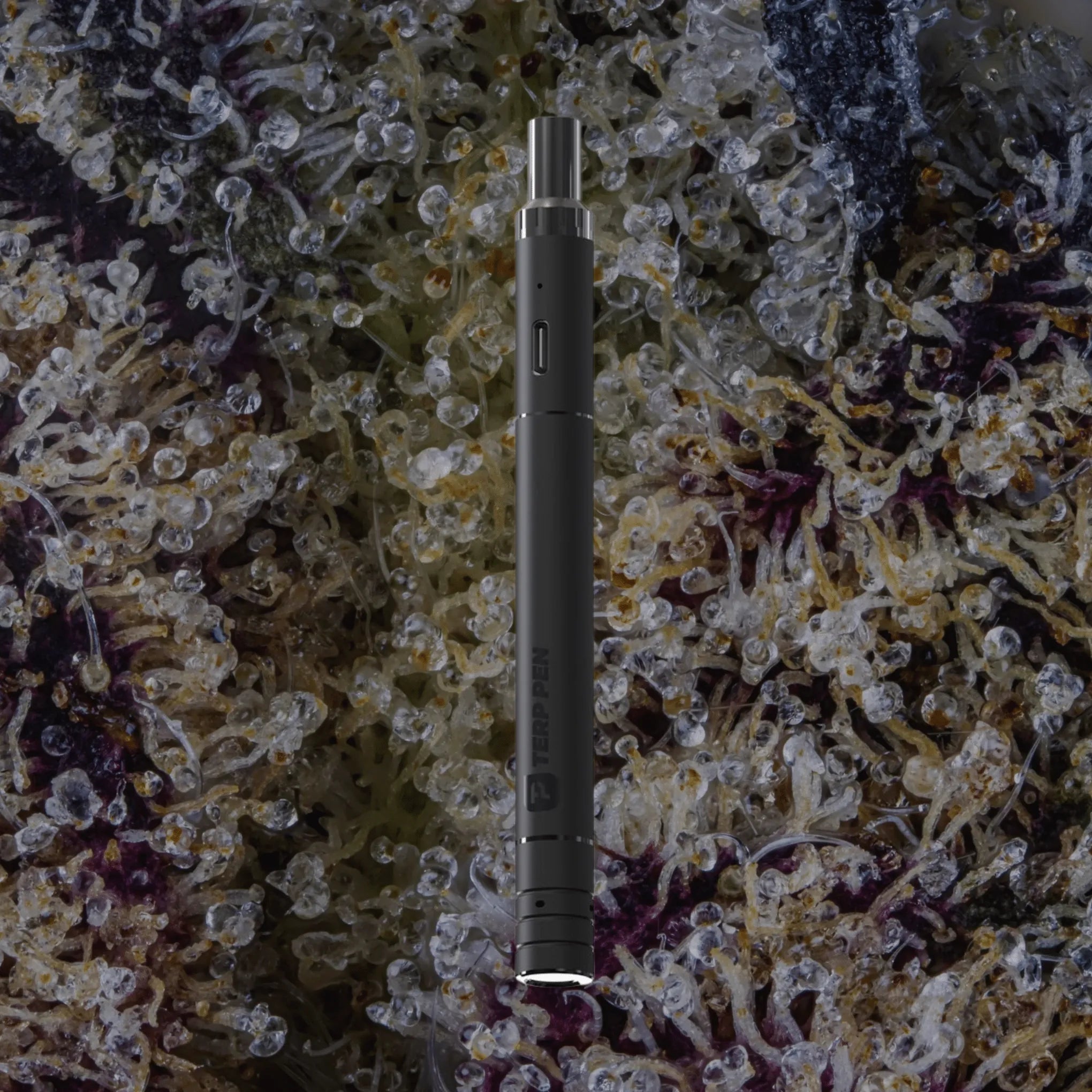 Terp Pen V2 Black | Trichly