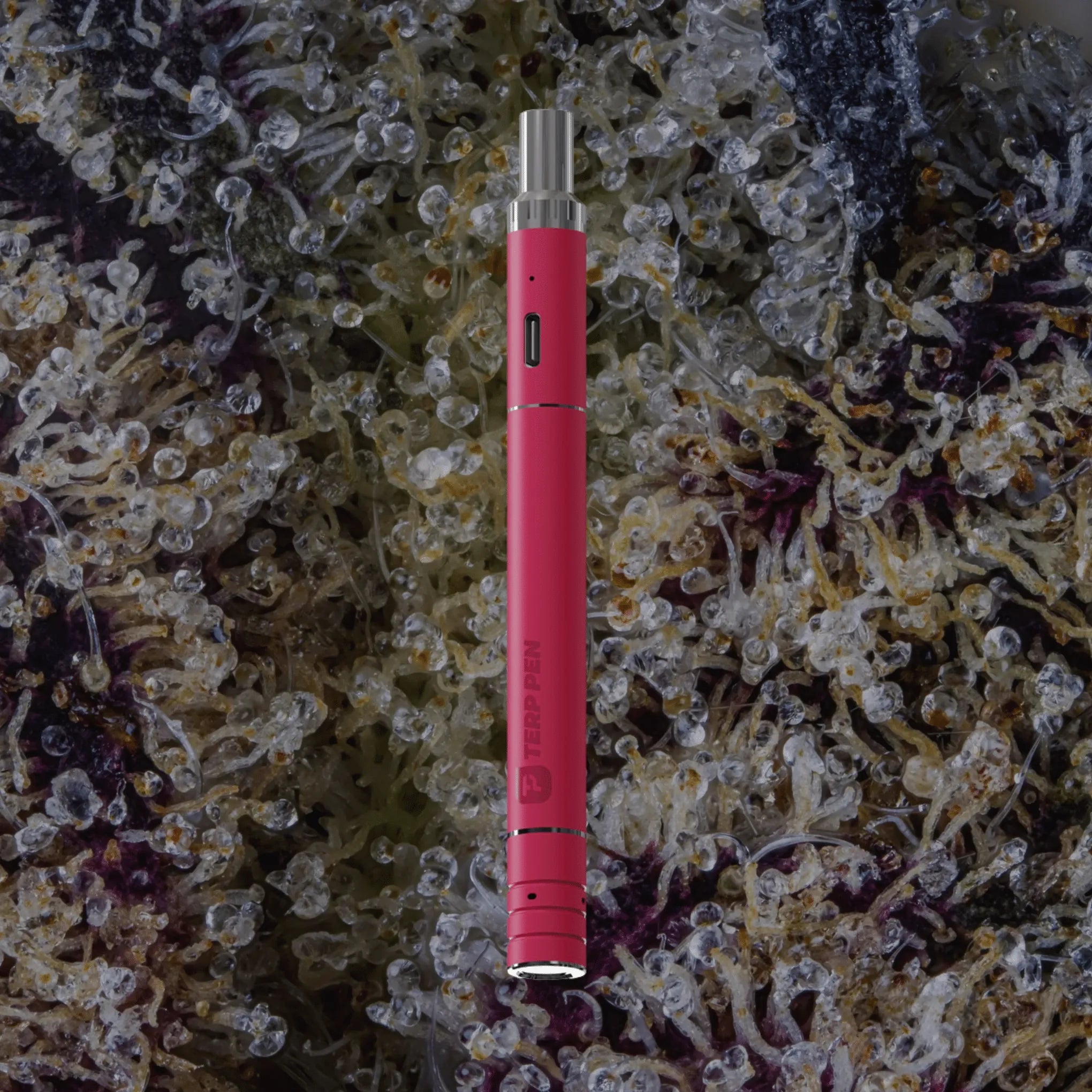 Terp Pen V2 Magenta | Trichly