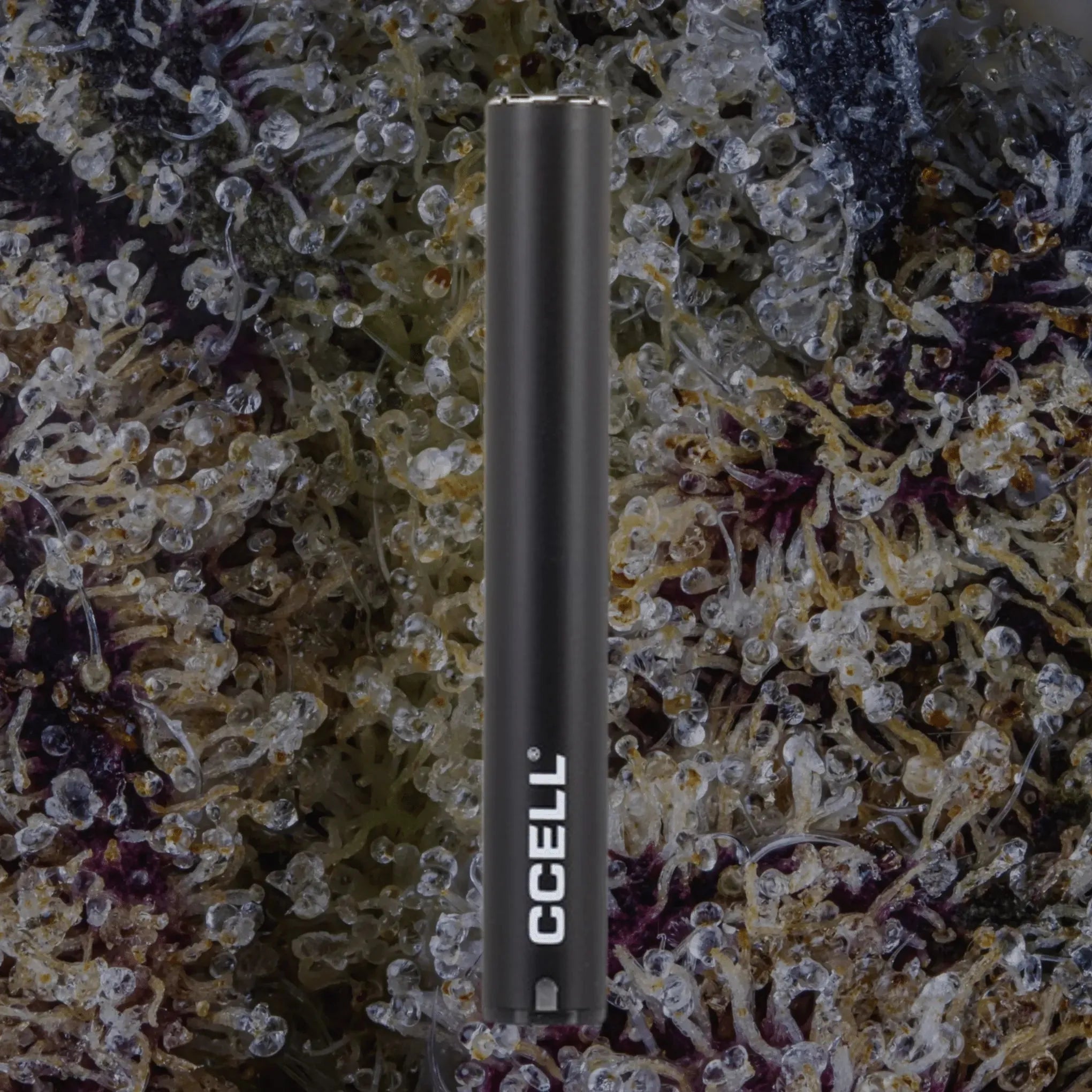 CCELL M3 Plus Black | Trichly