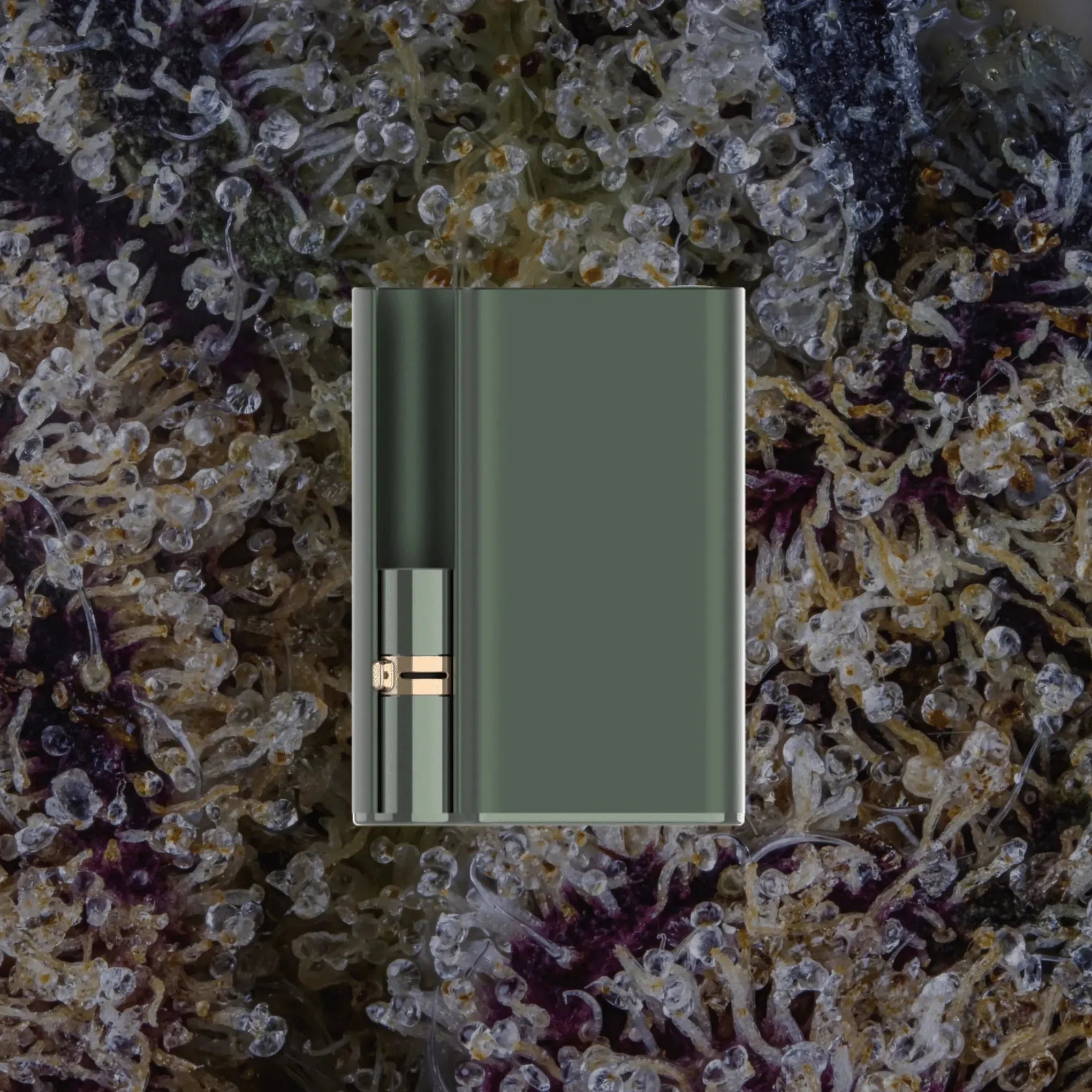 CCELL Palm Pro Green | Trichly