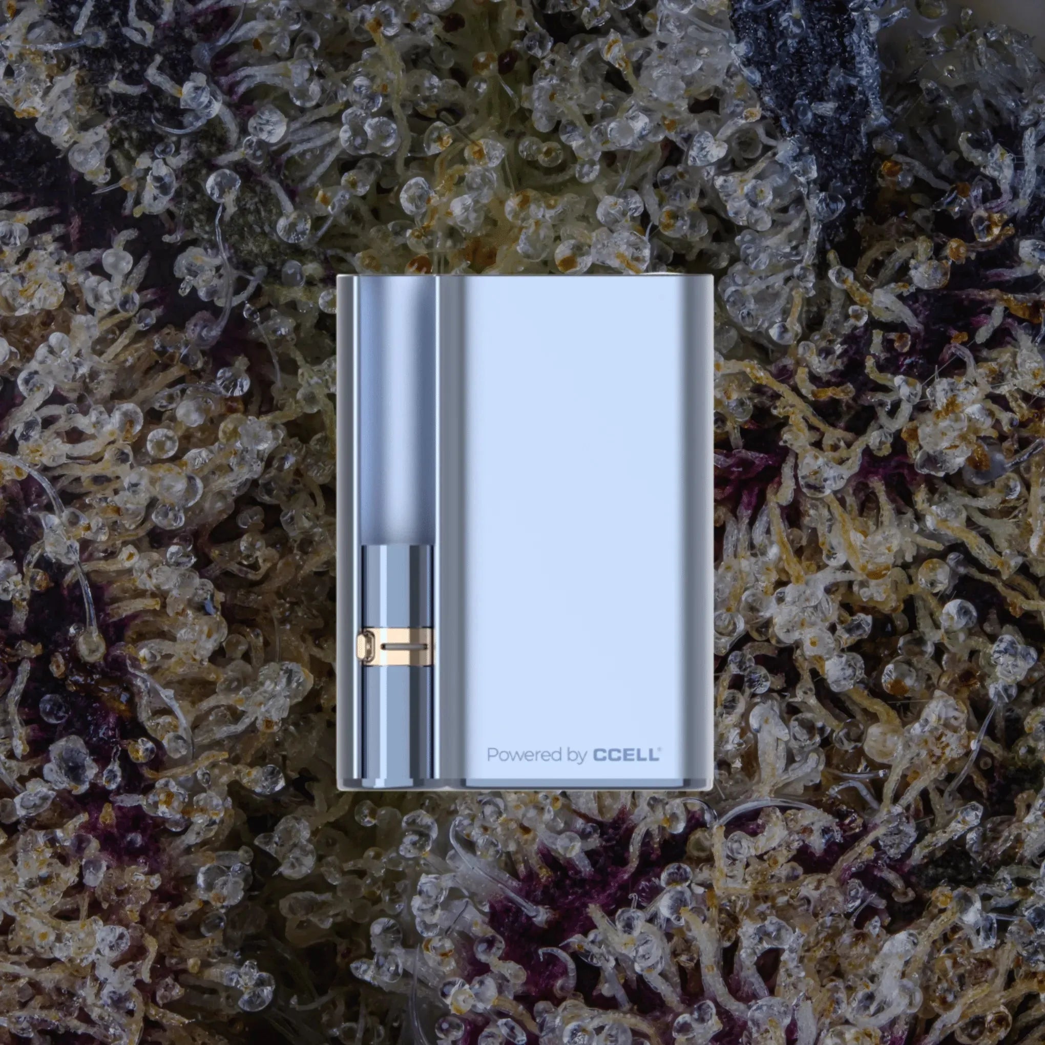 CCELL Palm Pro Baby Blue | Trichly