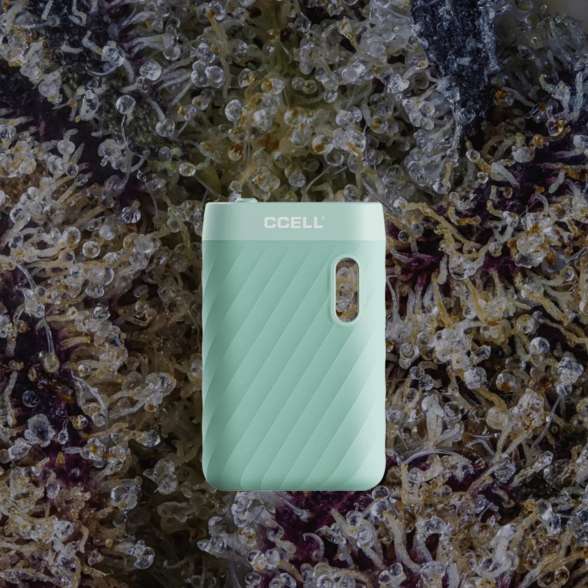 CCELL Sandwave Mint Green | Trichly