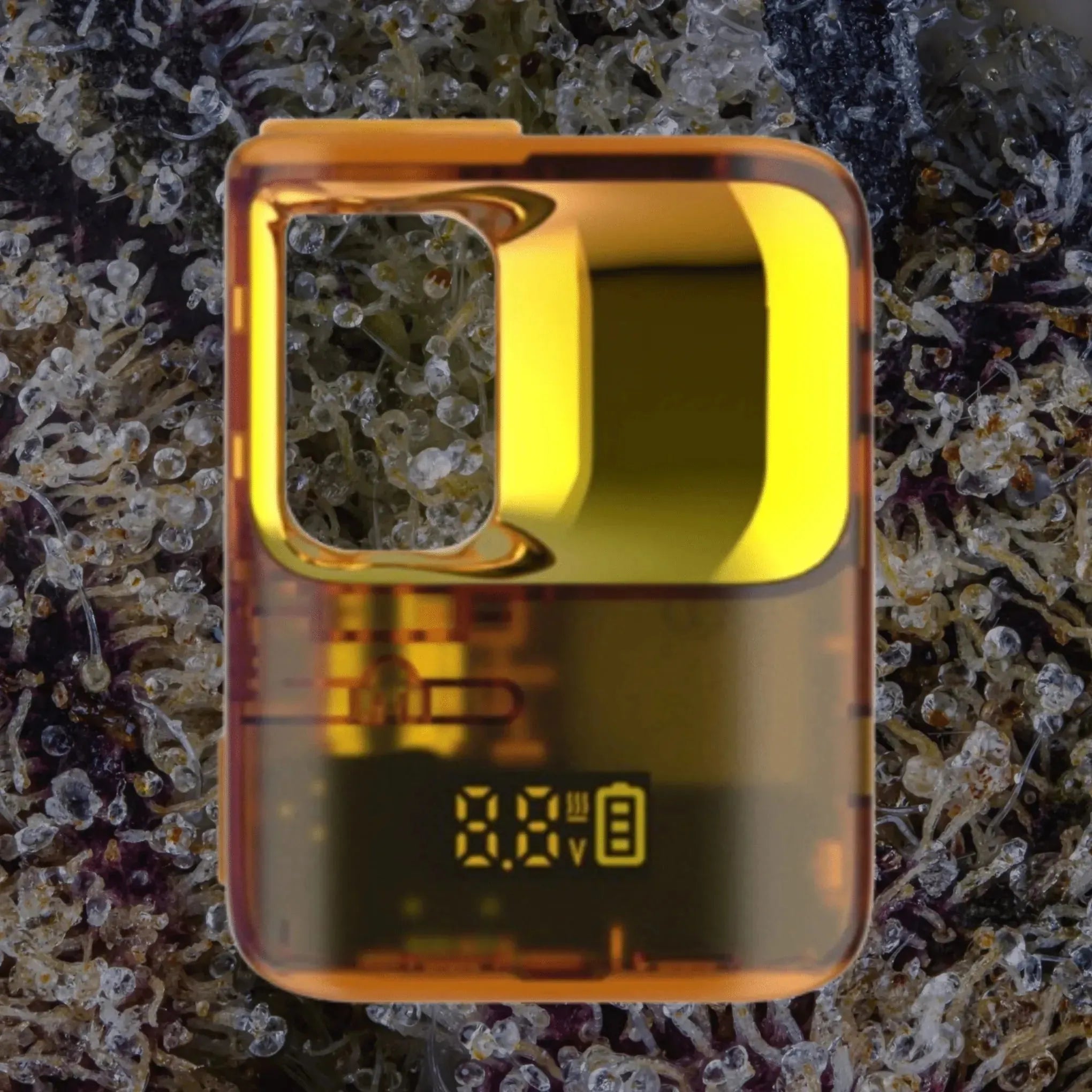 CCELL Stylo Yellow | Trichly