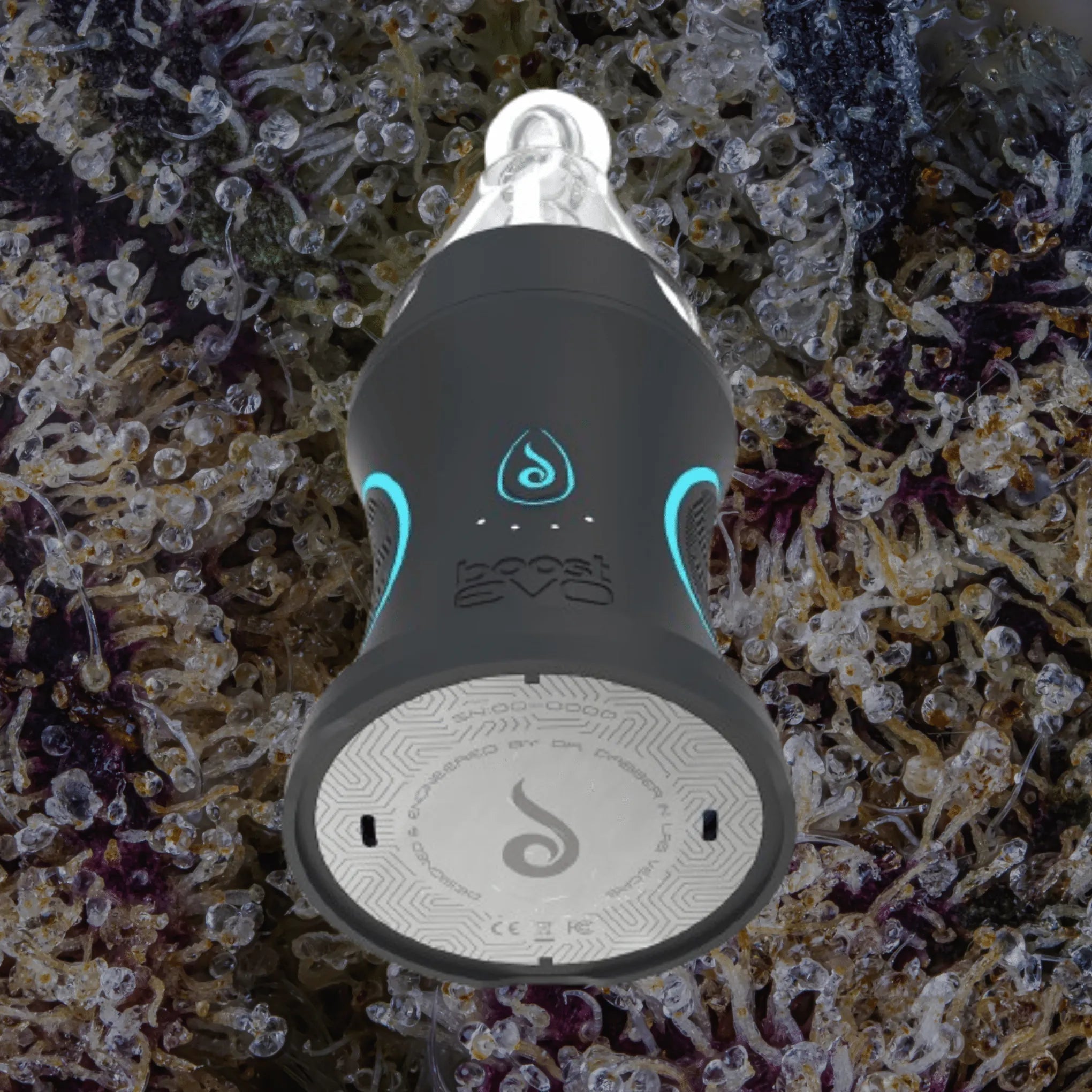 Dr. Dabber Boost Evo | Trichly
