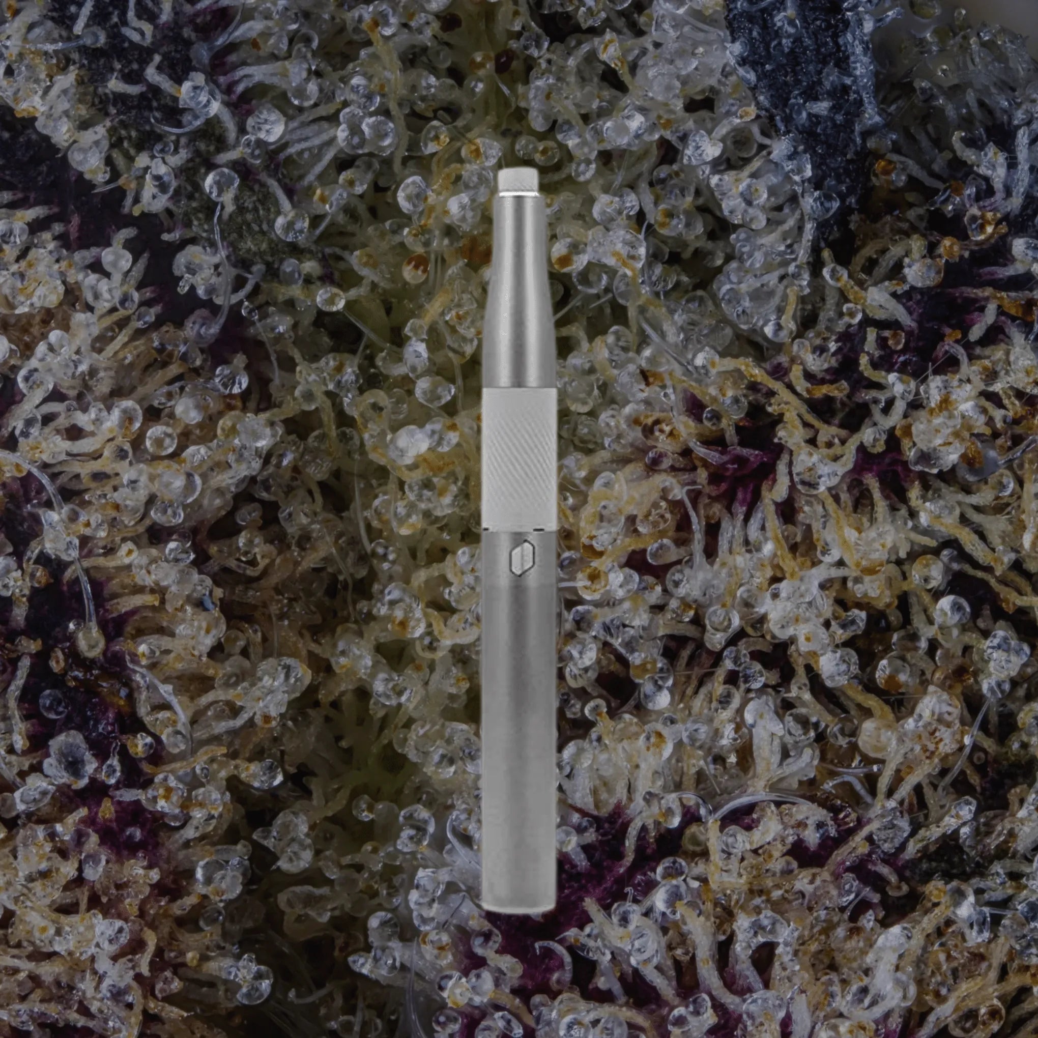 Puffco New Plus Pearl | Trichly