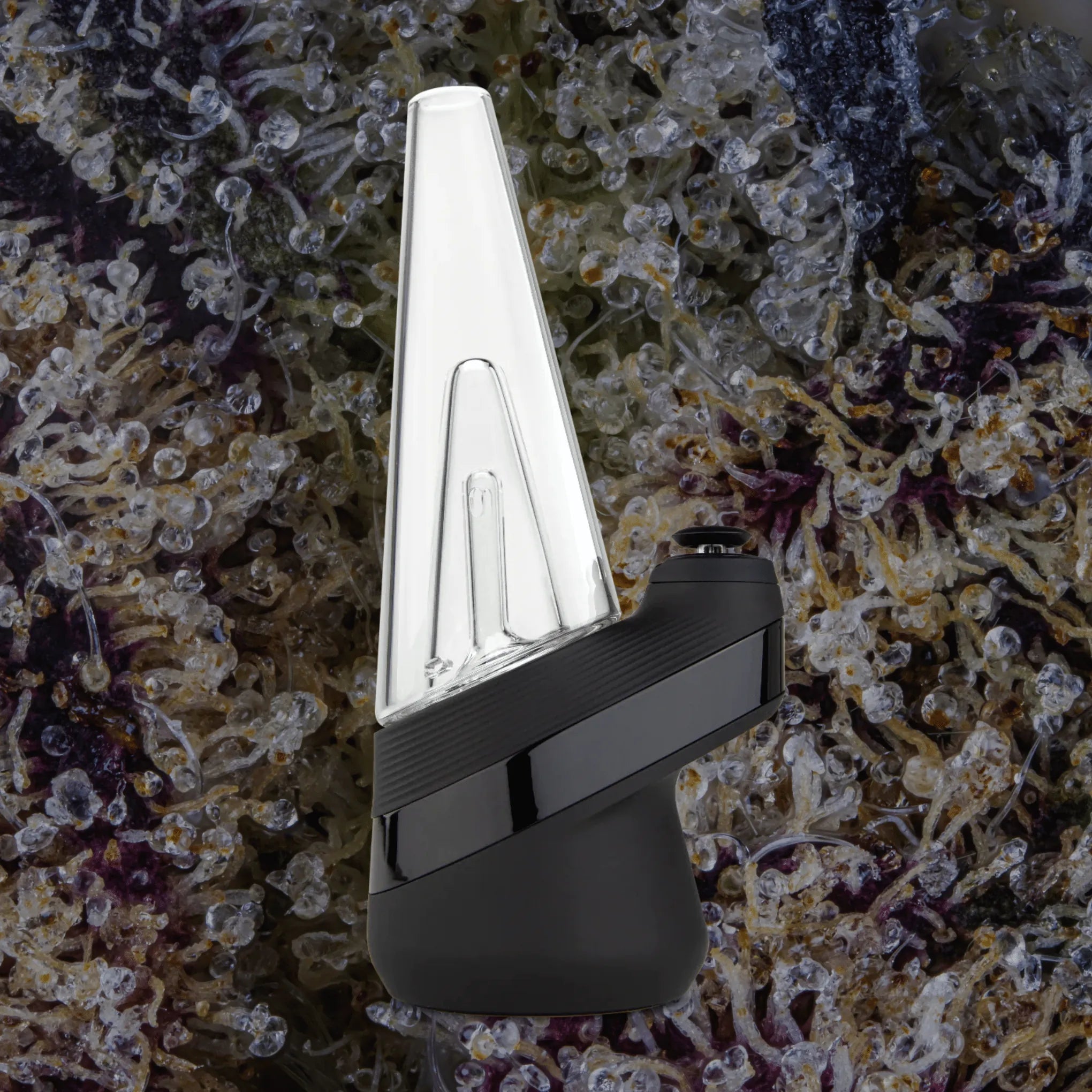 Puffco Peak Onyx | Trichly