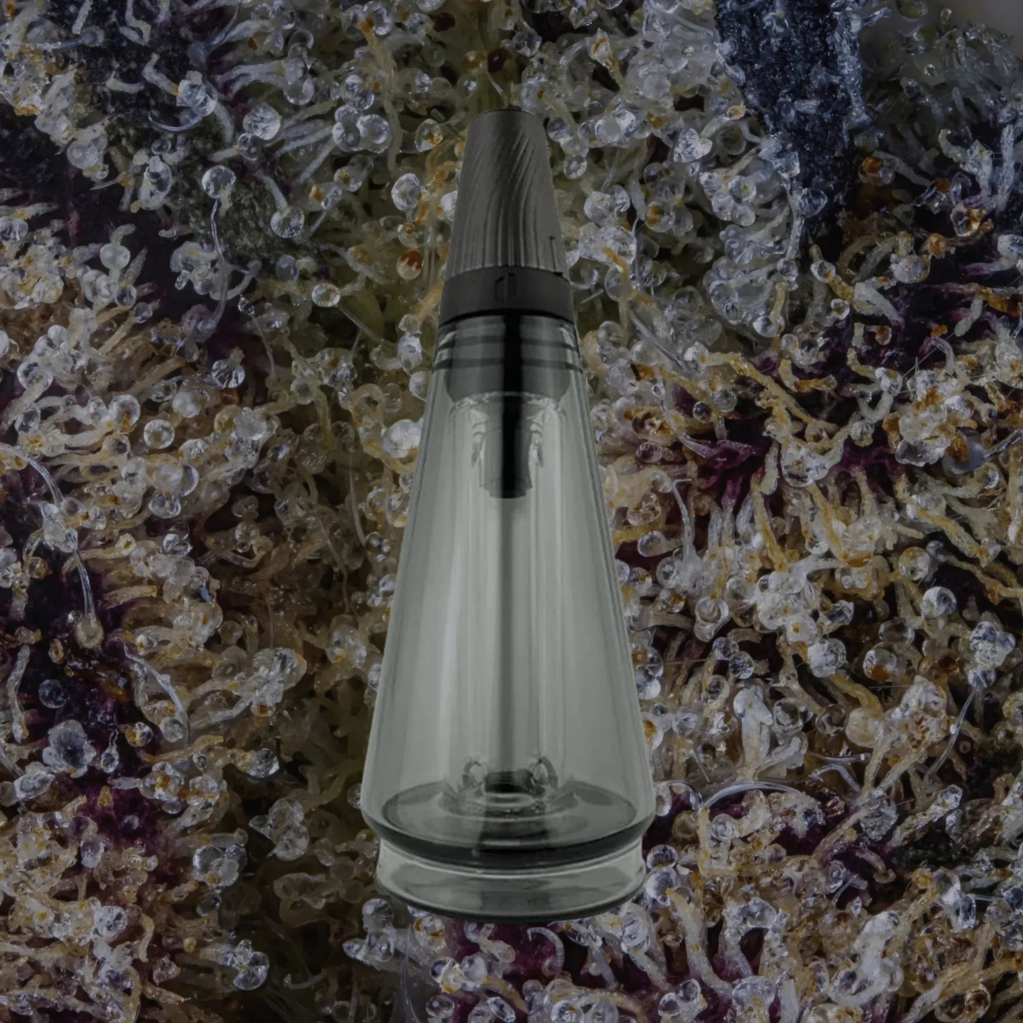Peak Travel Glass Shadow Black | Trichly