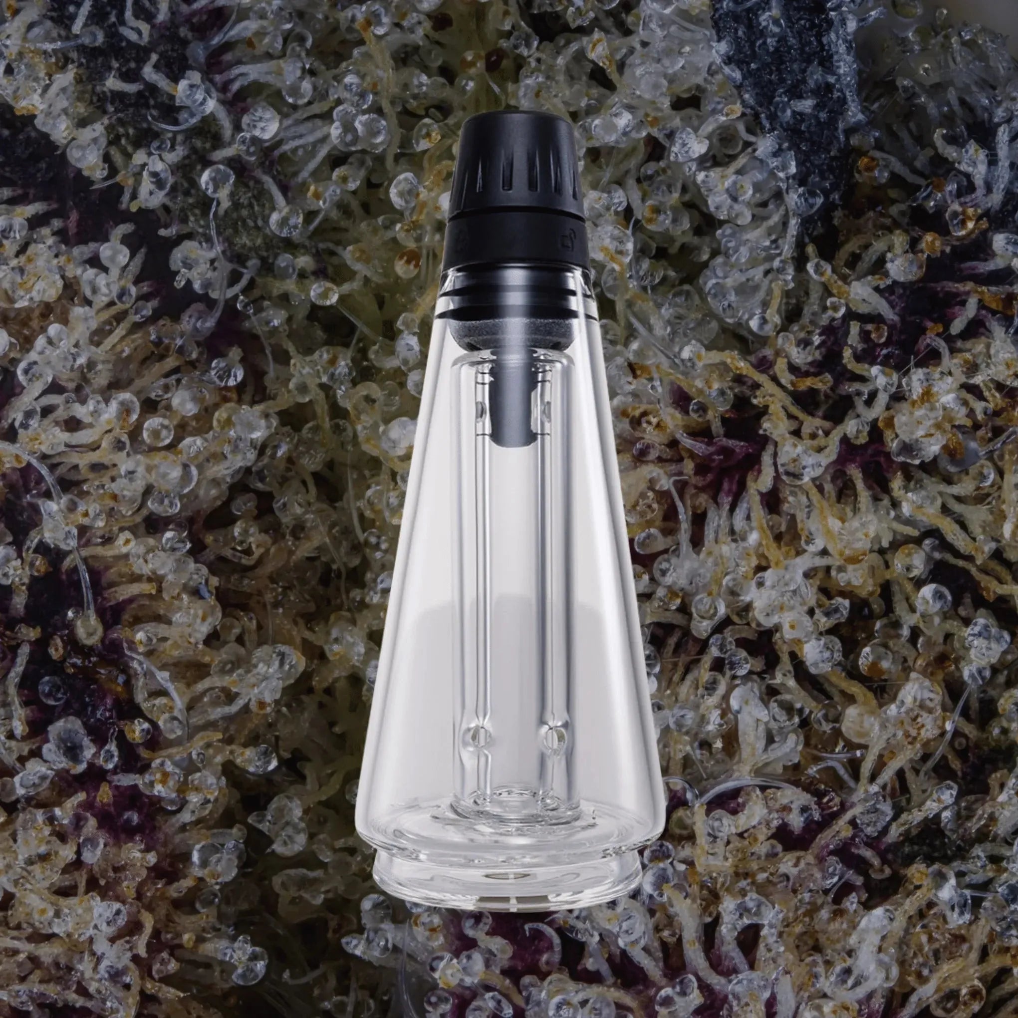 Peak Travel Glass Clear | Trichly