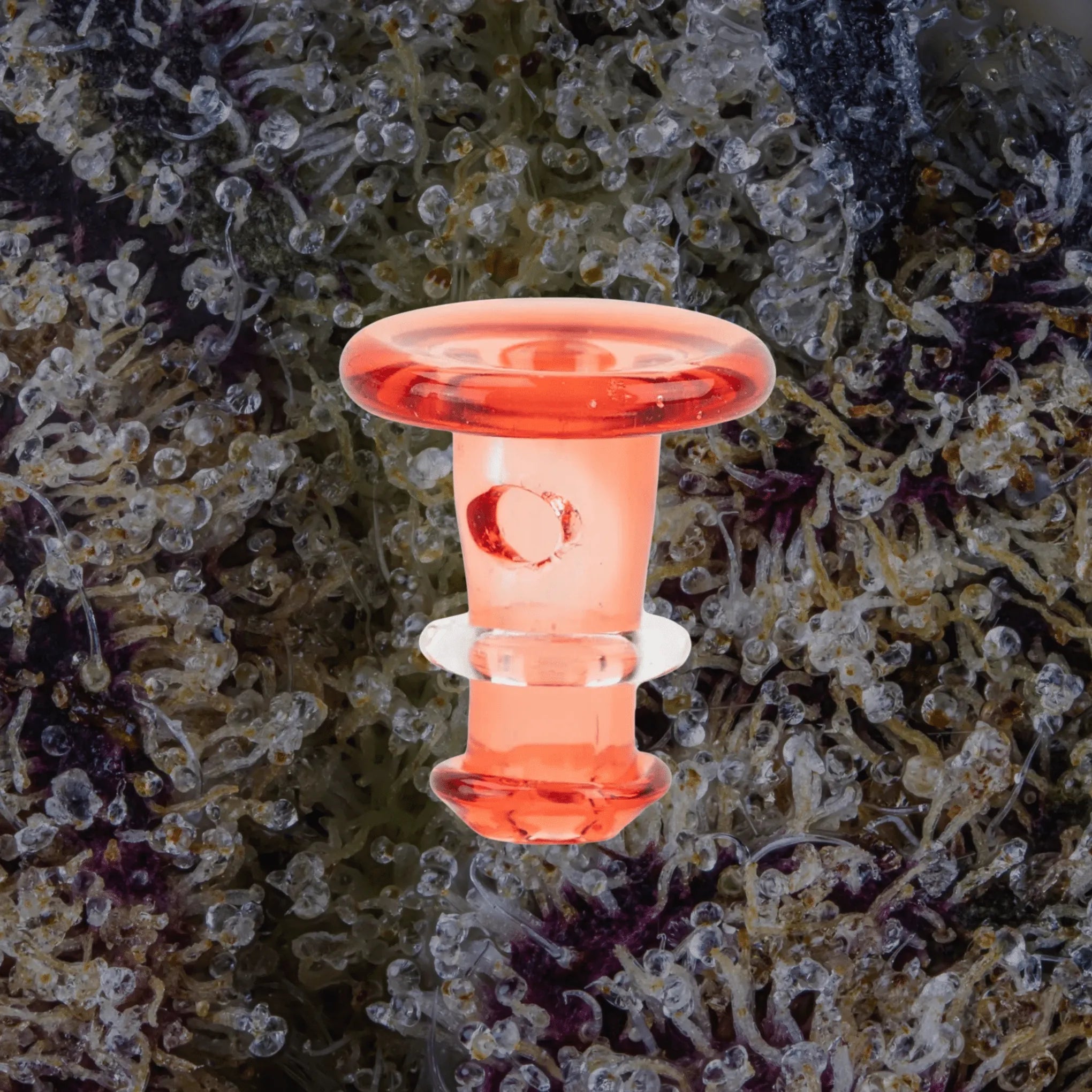Peak/Proxy Joystick Caps Transparent Red | Trichly