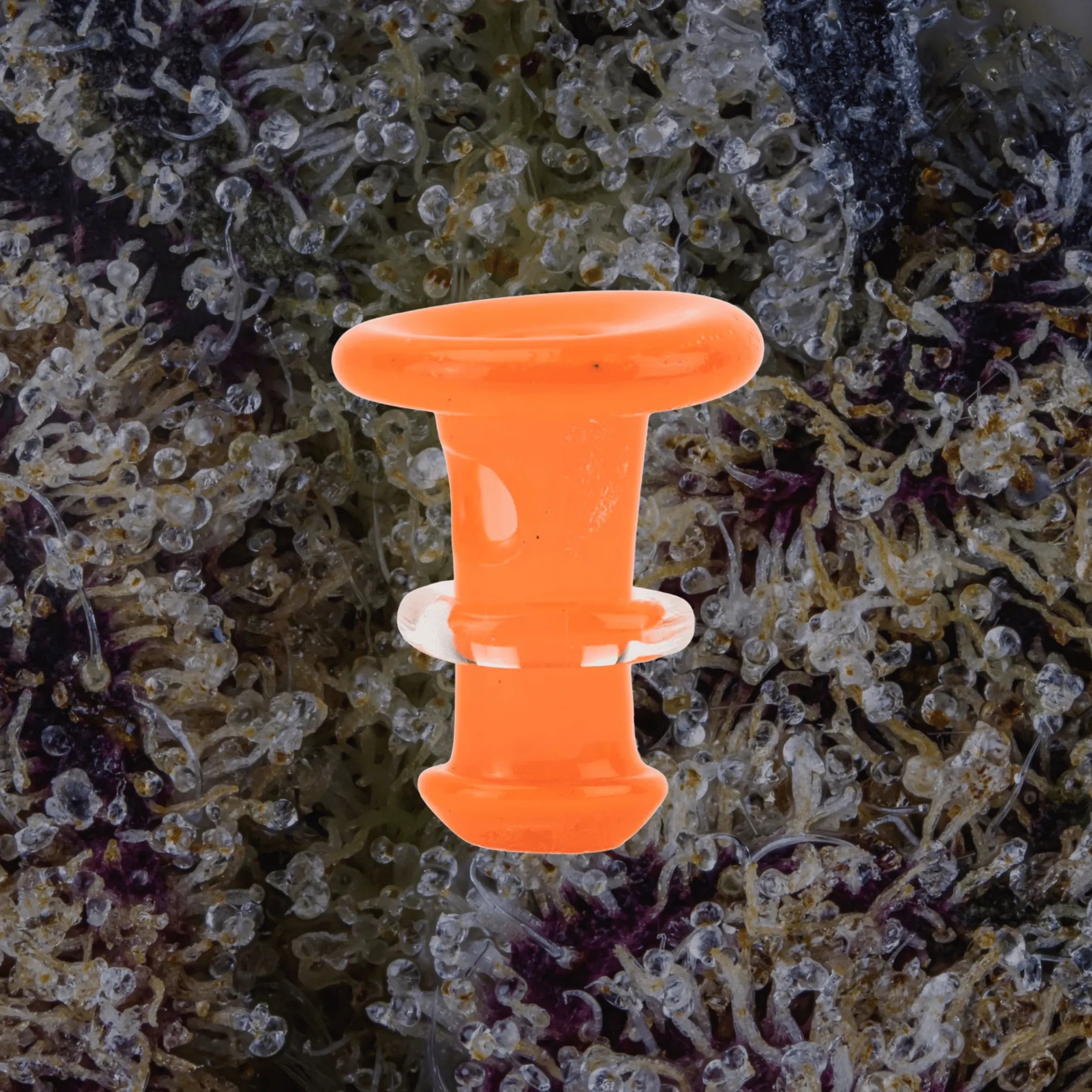 Peak/Proxy Joystick Caps Orange | Trichly
