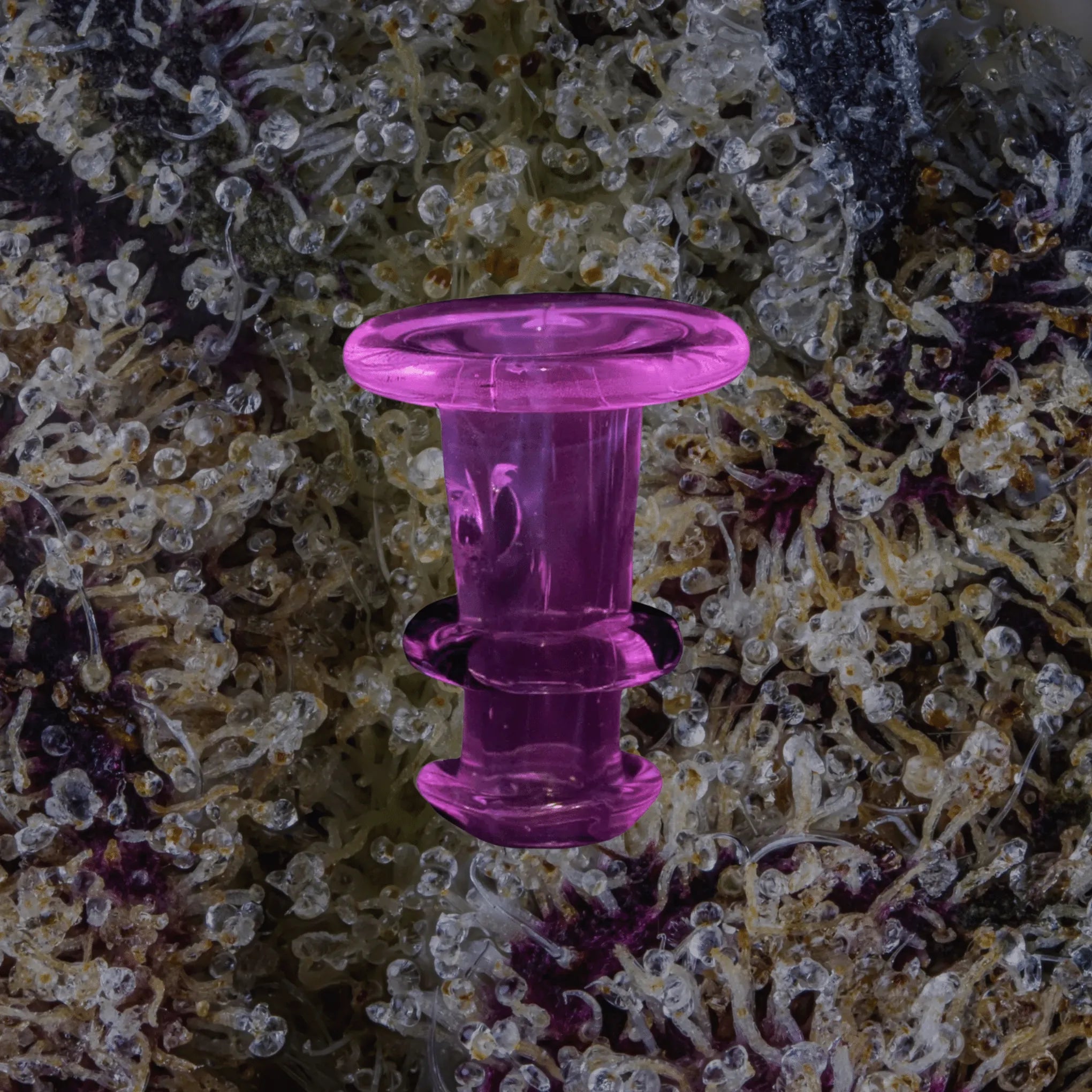 Peak/Proxy Joystick Caps Pink UV | Trichly