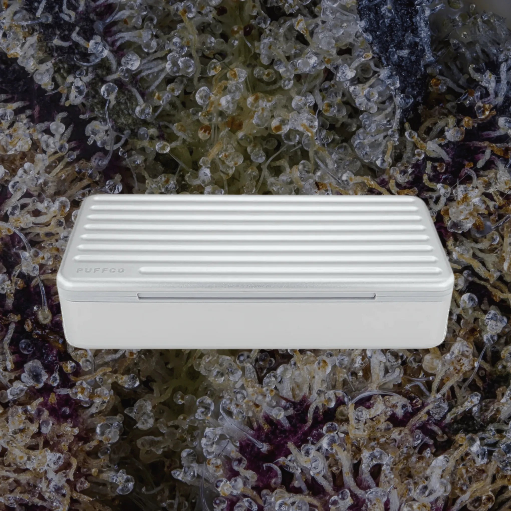 Pivot Travel Case Pearl | Trichly