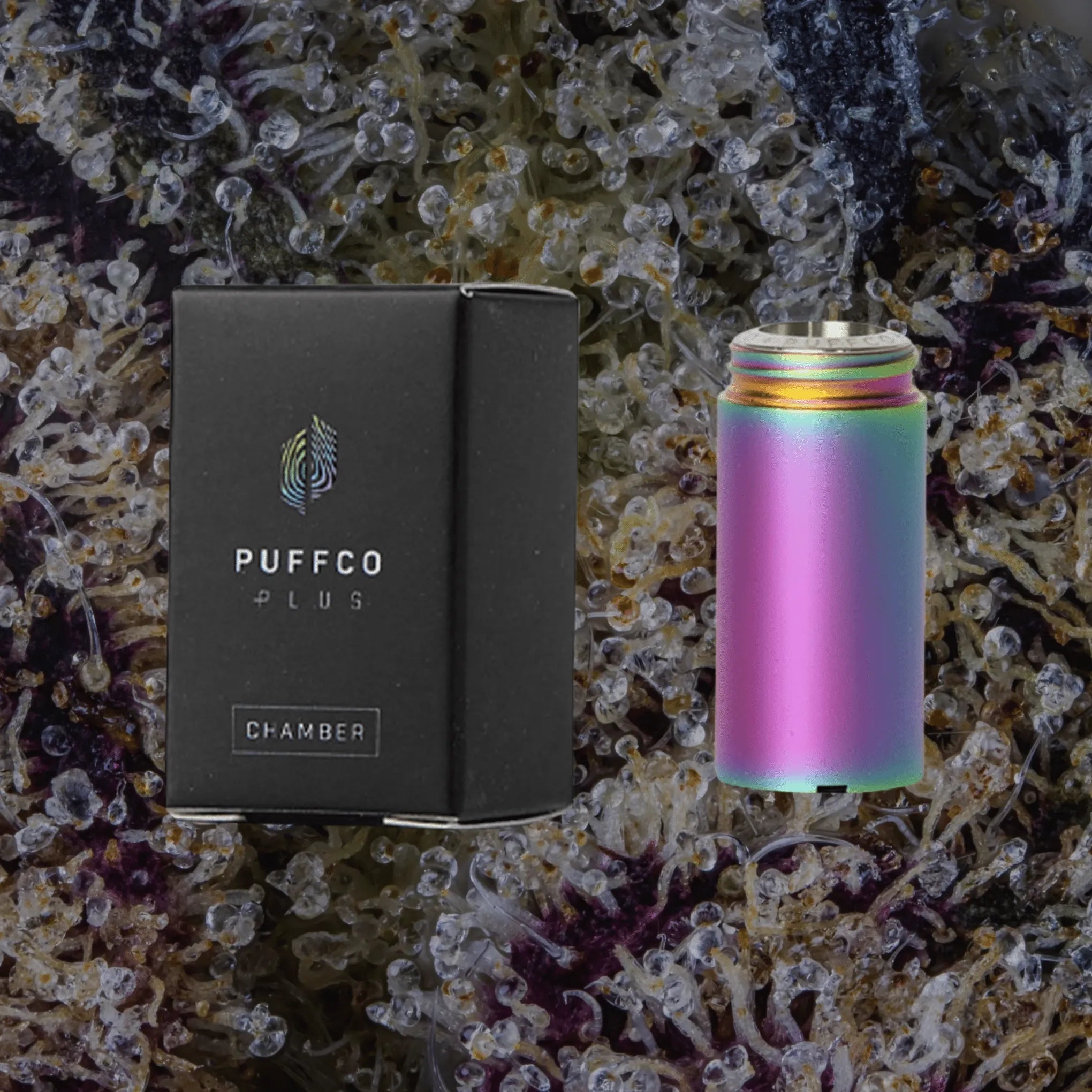 Puffco Plus Chamber | Trichly