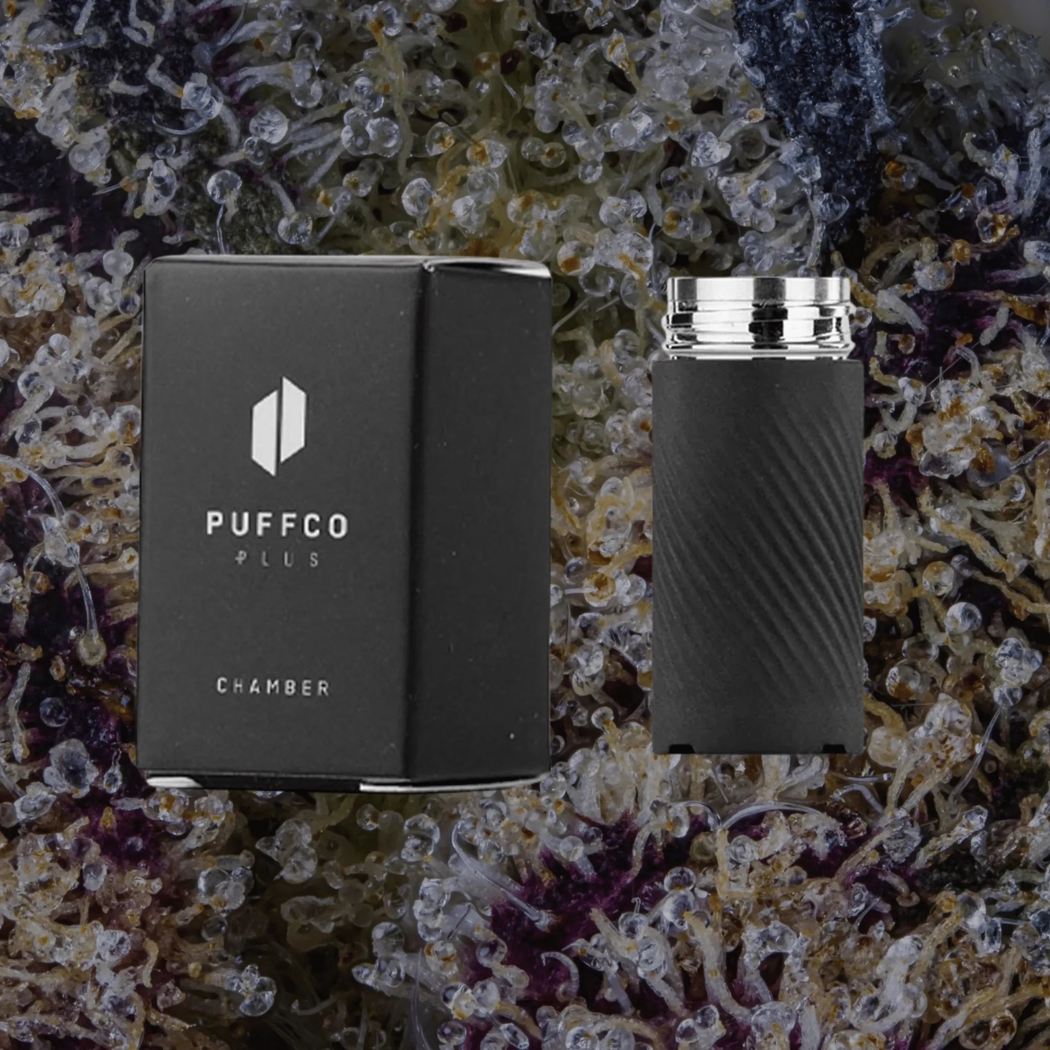 Puffco Plus Chamber | Trichly