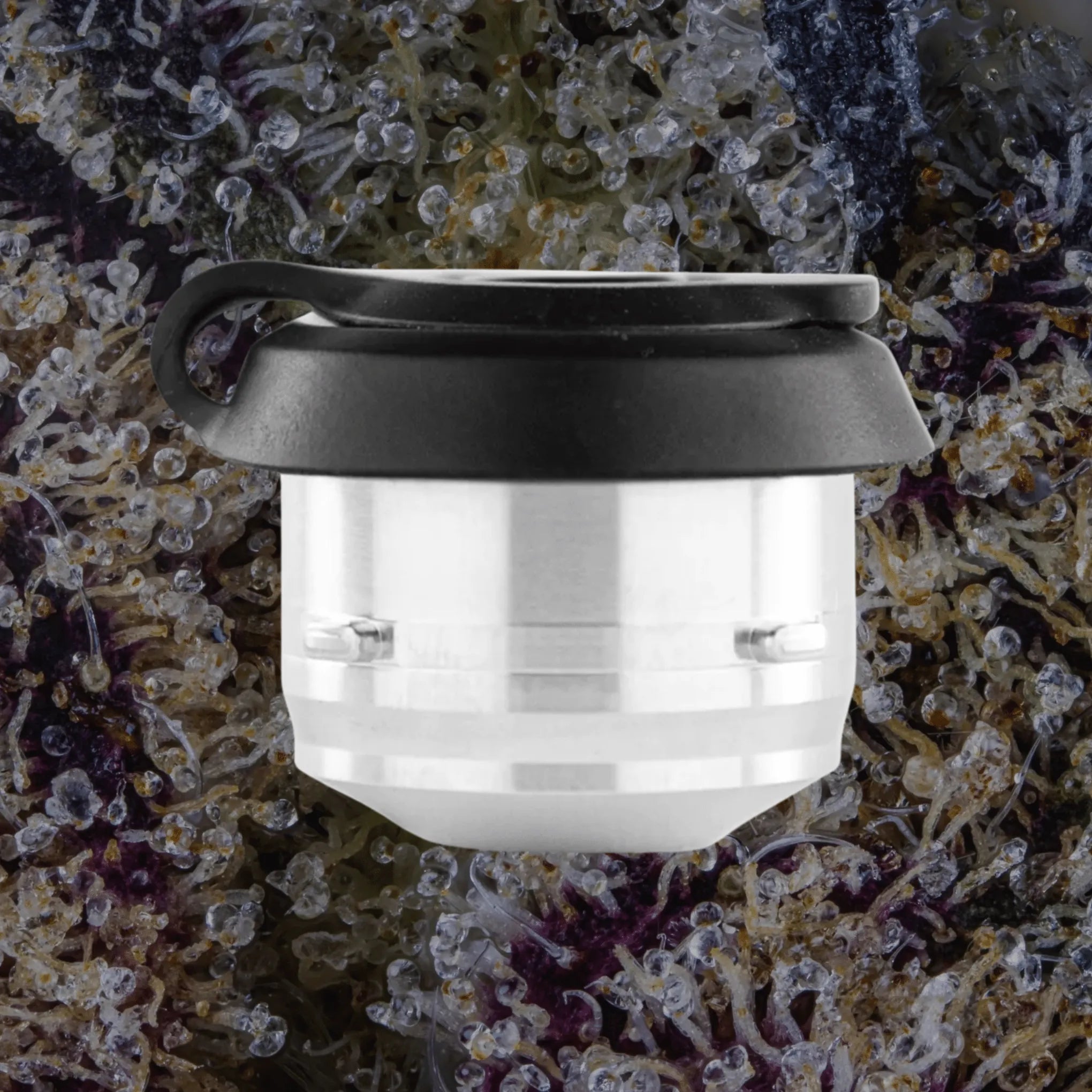 Puffco Proxy 3D Chamber | Trichly