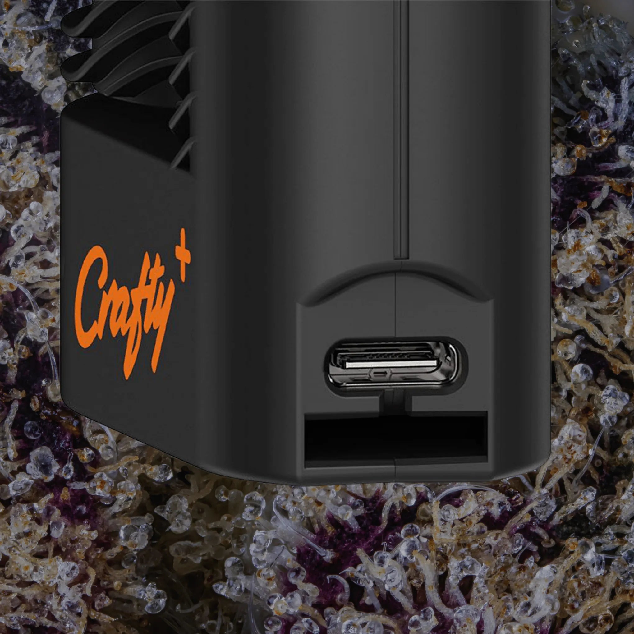 Storz & Bickel Crafty+ | Trichly
