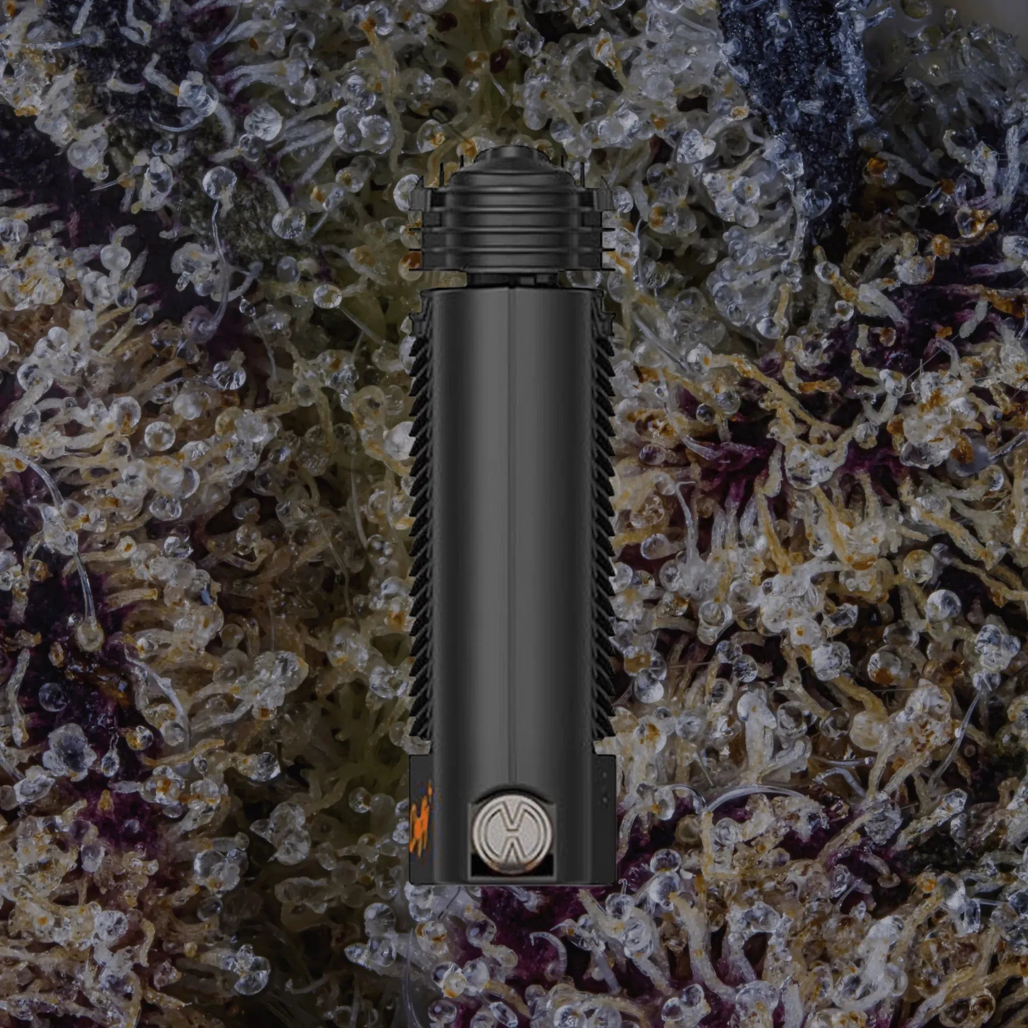 Storz & Bickel Crafty+ | Trichly
