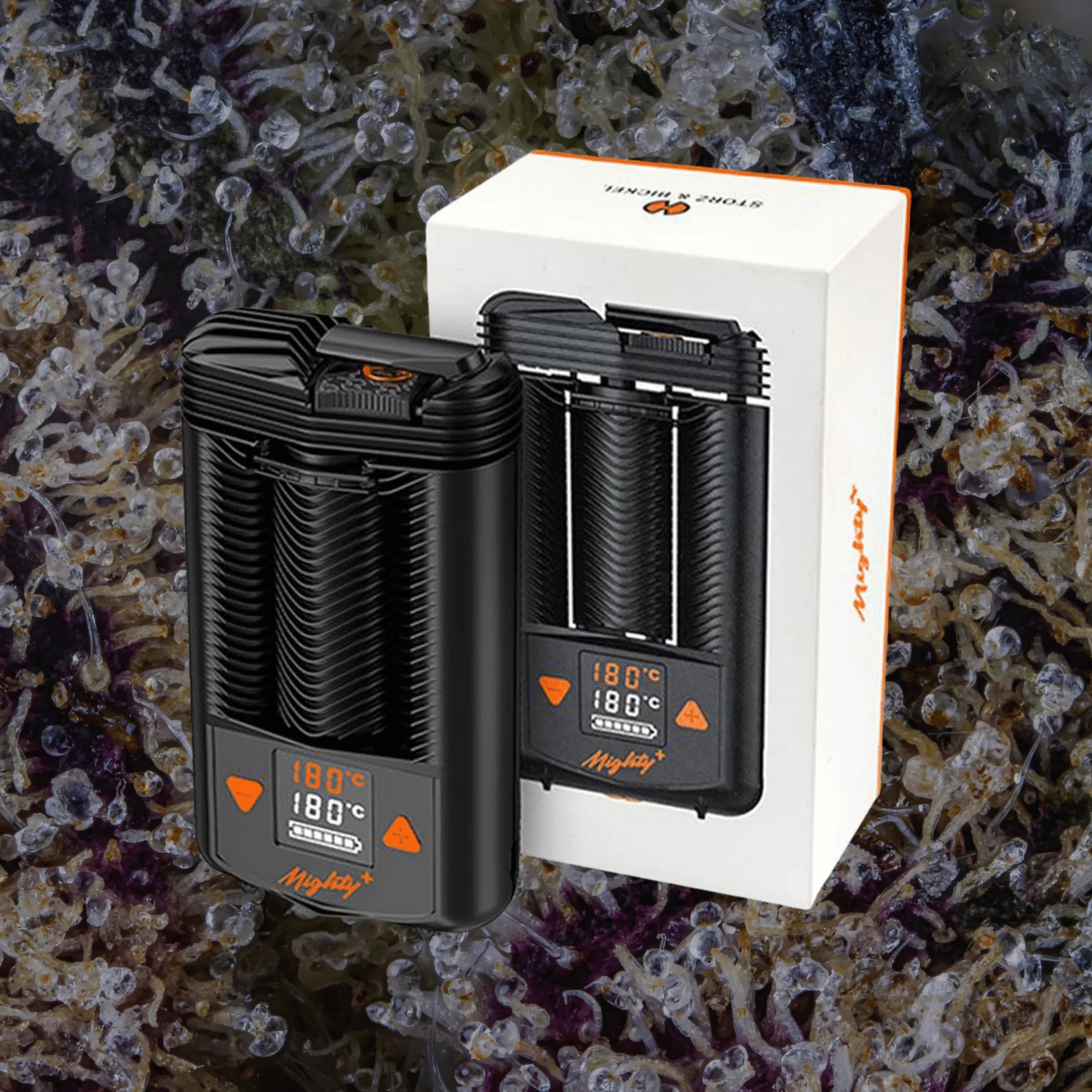 Storz & Bickel Mighty+ | Trichly