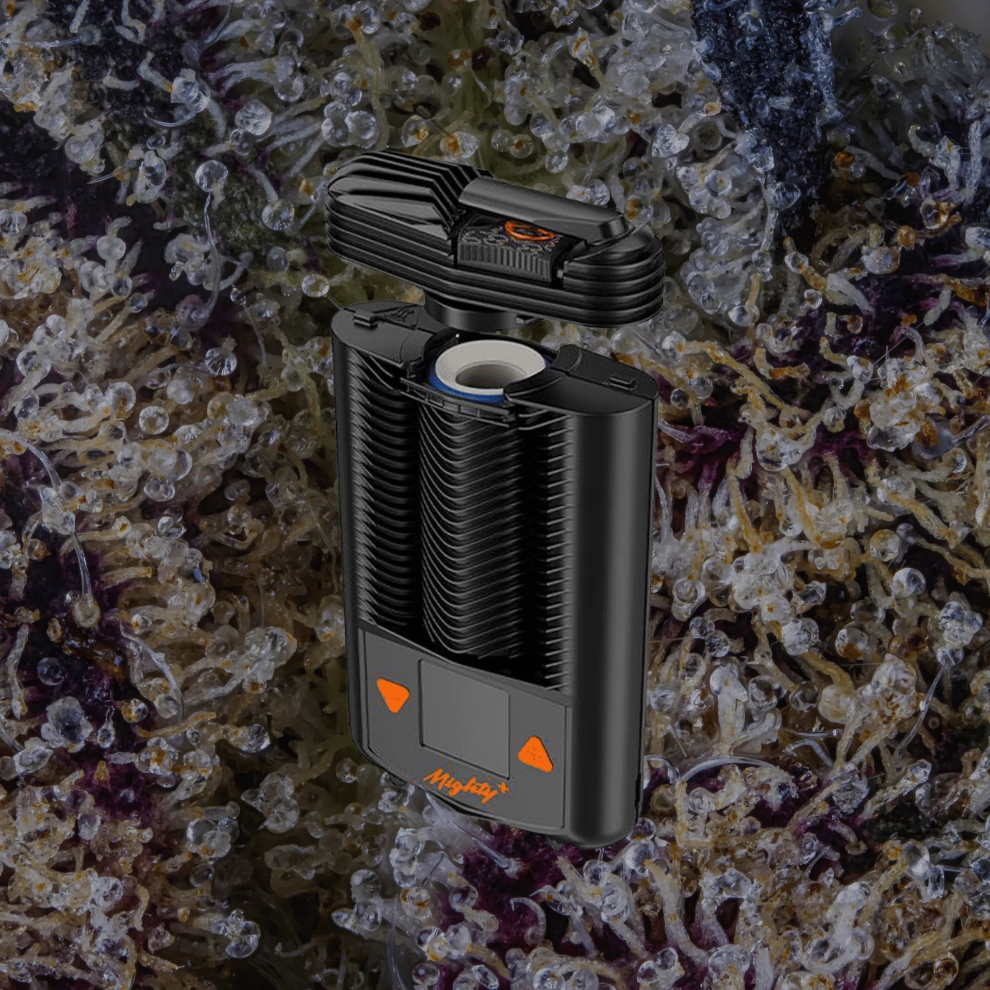 Storz & Bickel Mighty+ | Trichly
