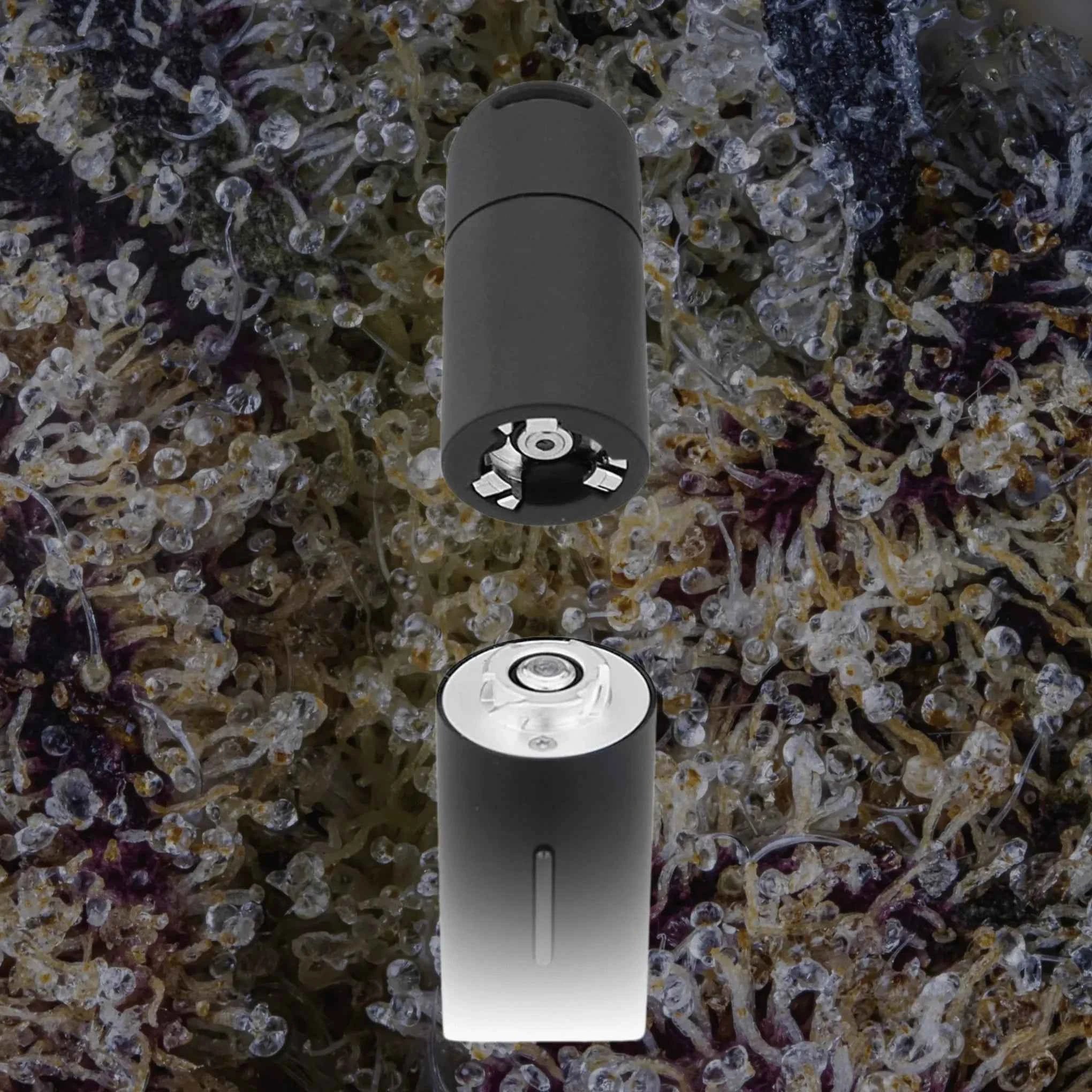 2 Pack | Puffco Pivot 3D Chambers | Trichly