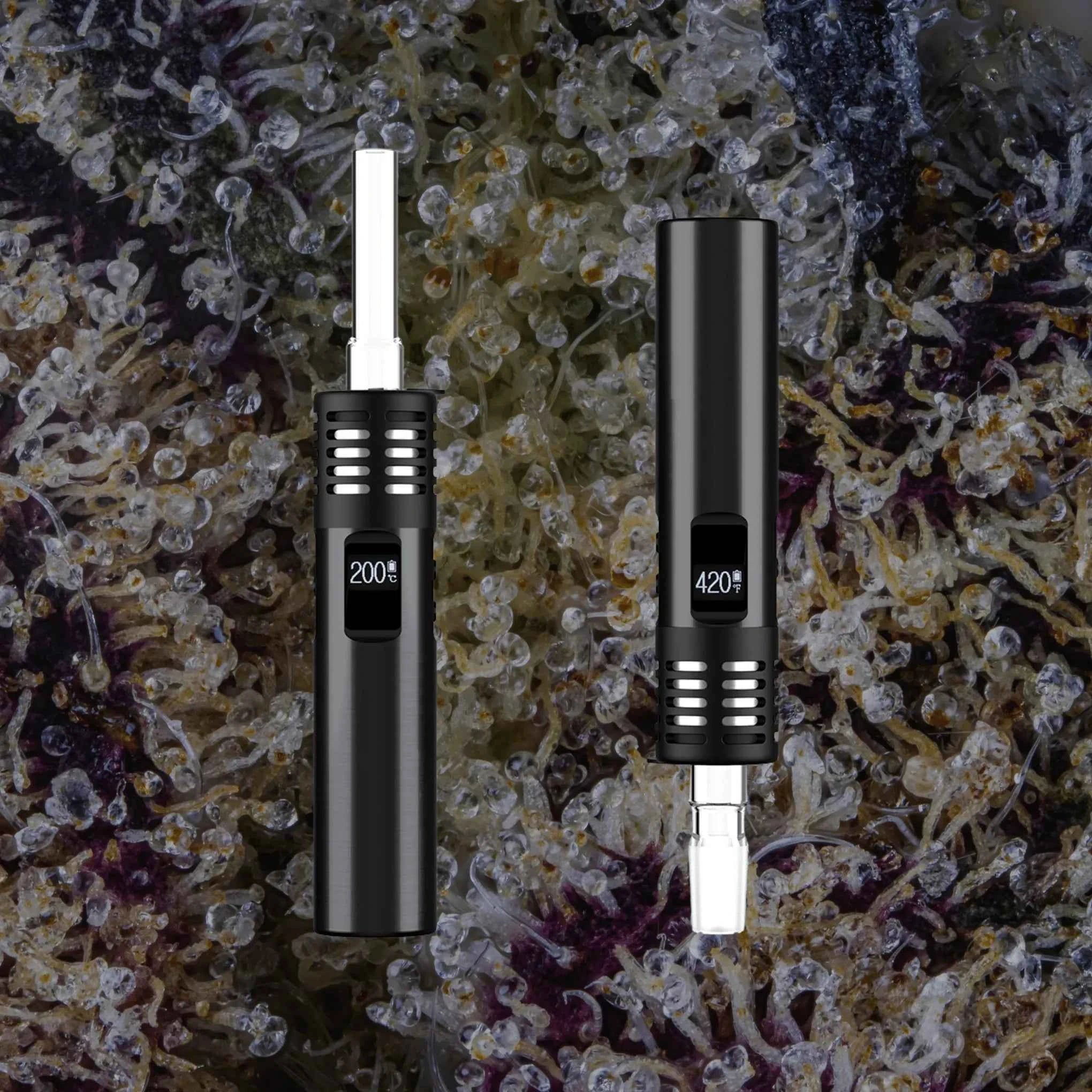 Arizer Air Max | Trichly