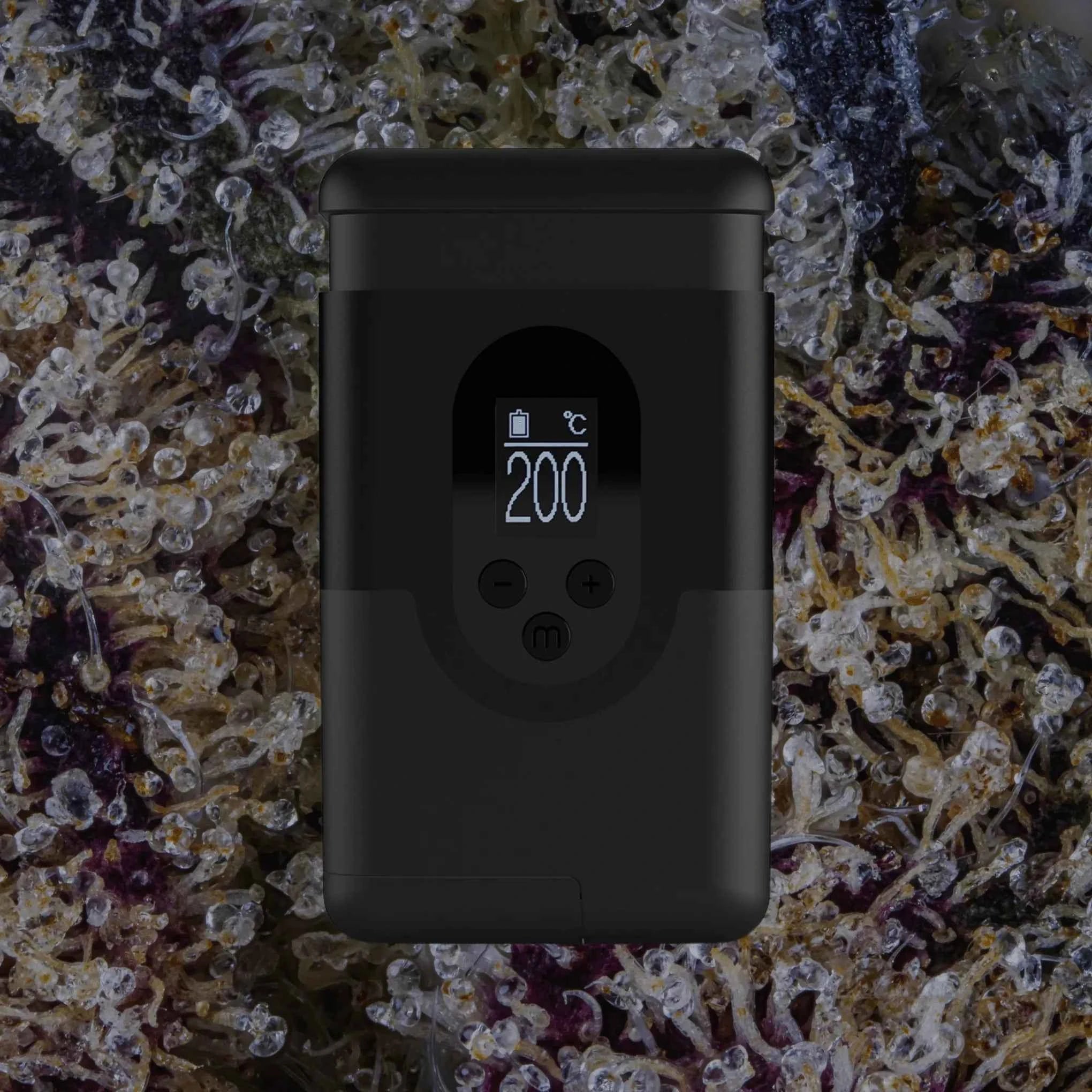 Arizer ArGo | Trichly