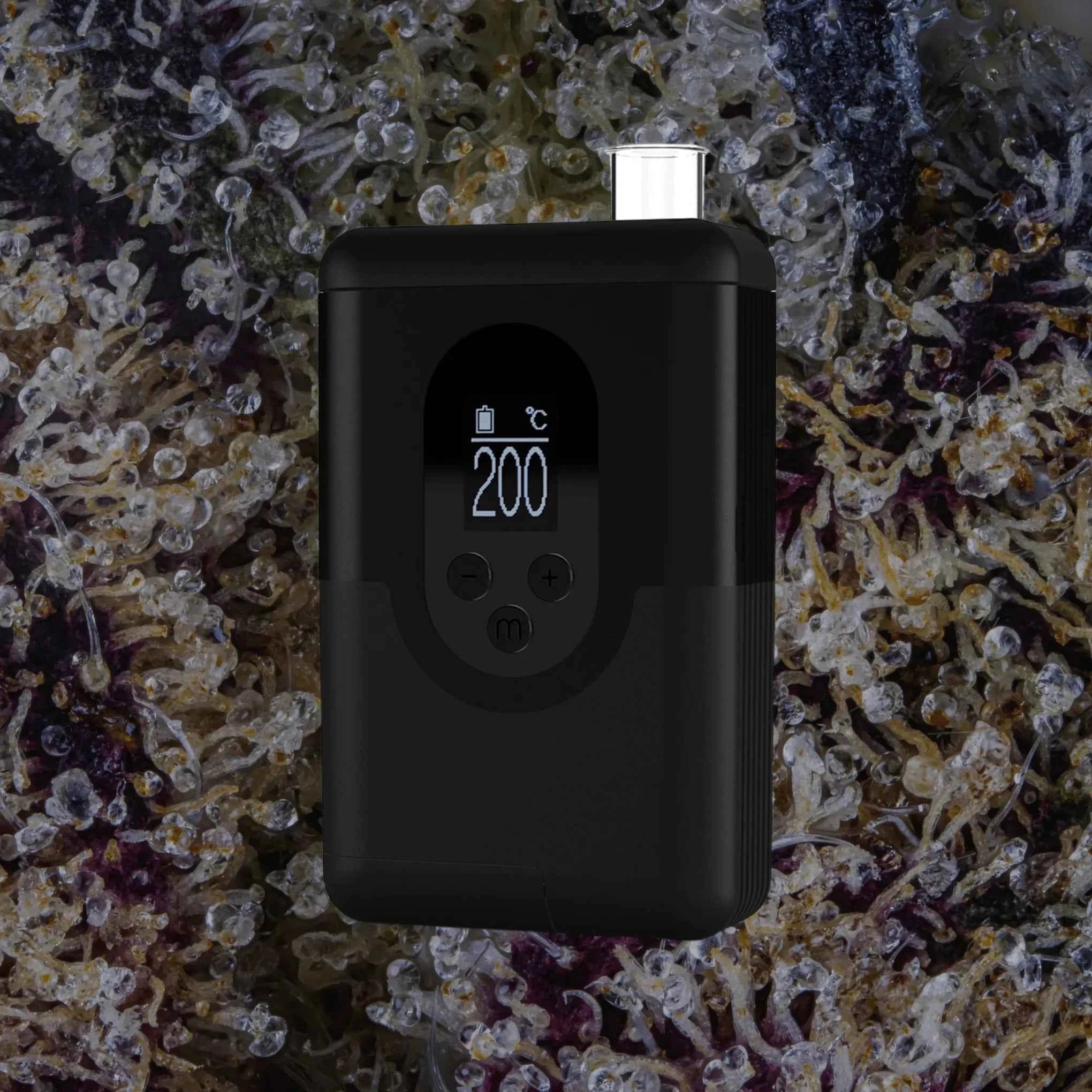 Arizer ArGo | Trichly