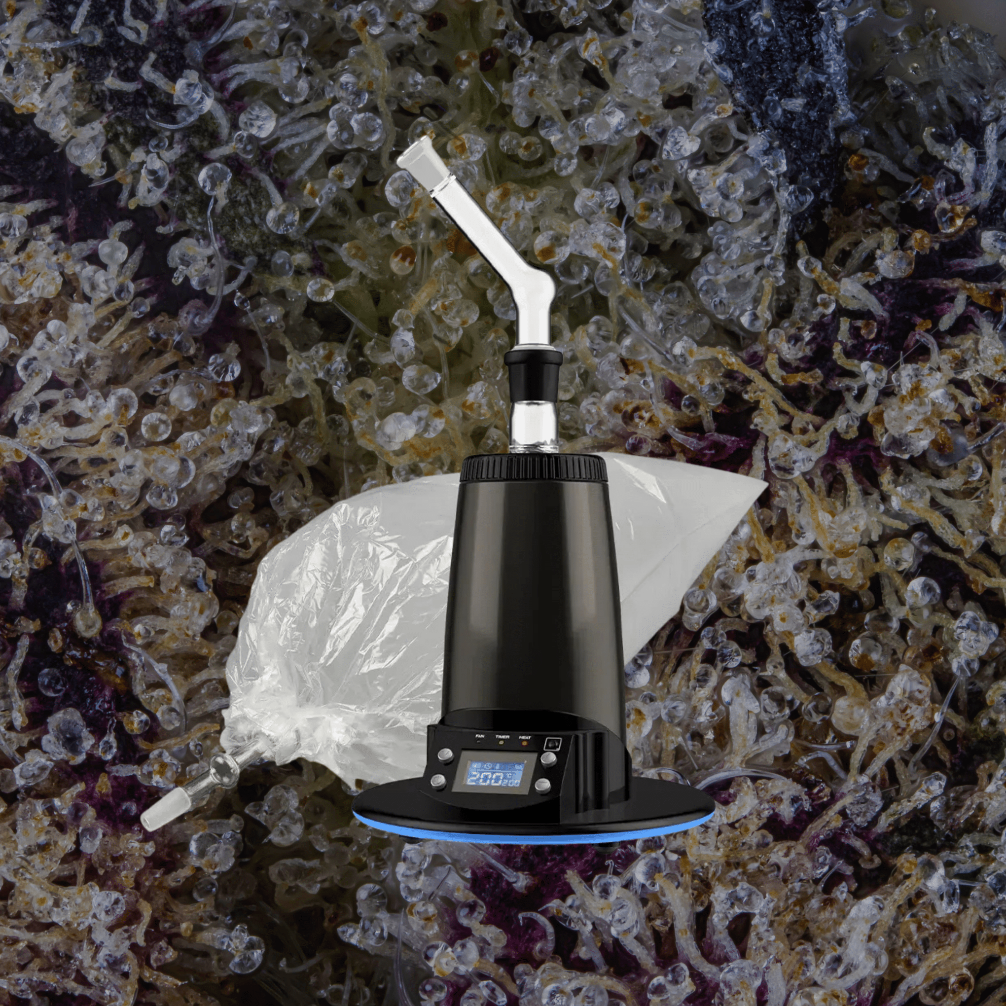 Arizer ExtremeQ | Trichly