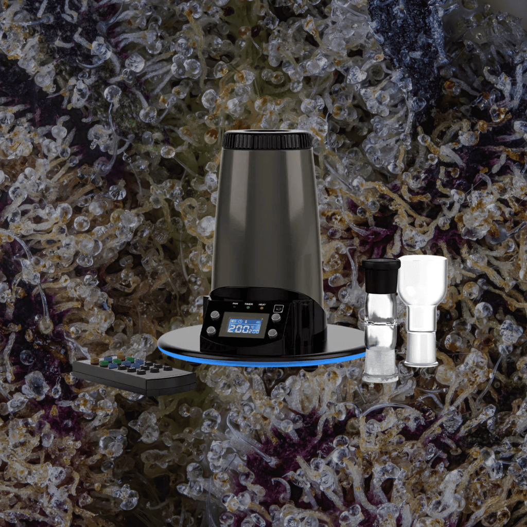 Arizer ExtremeQ | Trichly