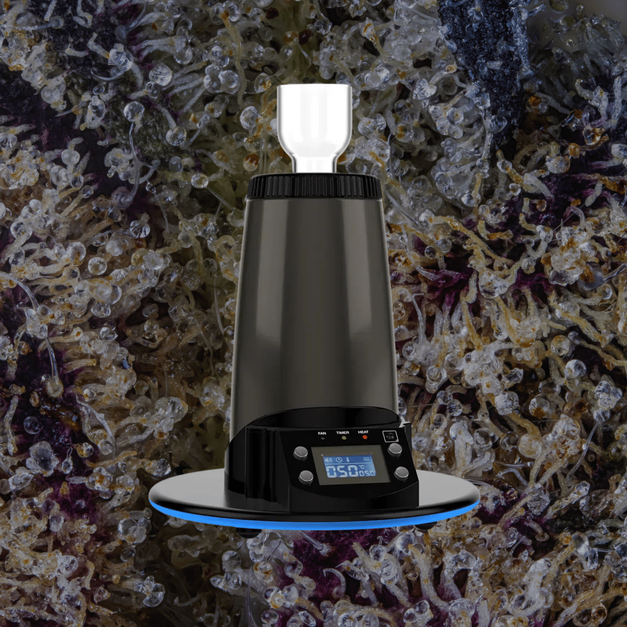 Arizer ExtremeQ | Trichly