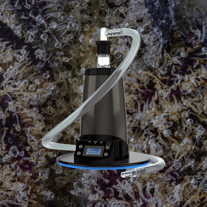 Arizer ExtremeQ | Trichly