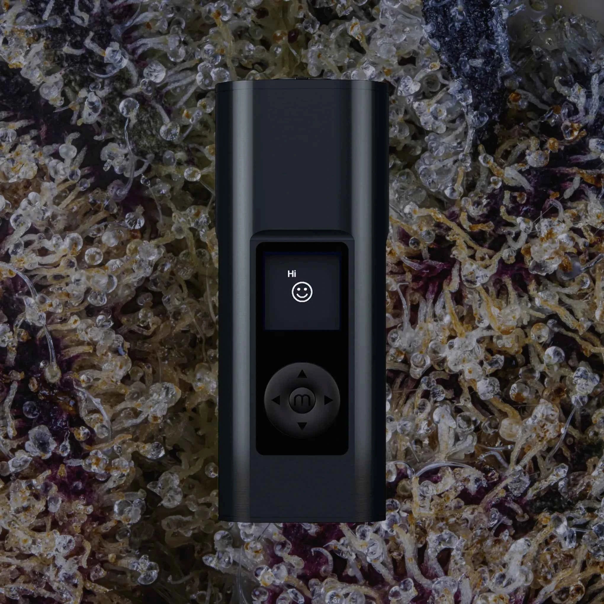 Arizer Solo III V2 Intergalactic | Trichly