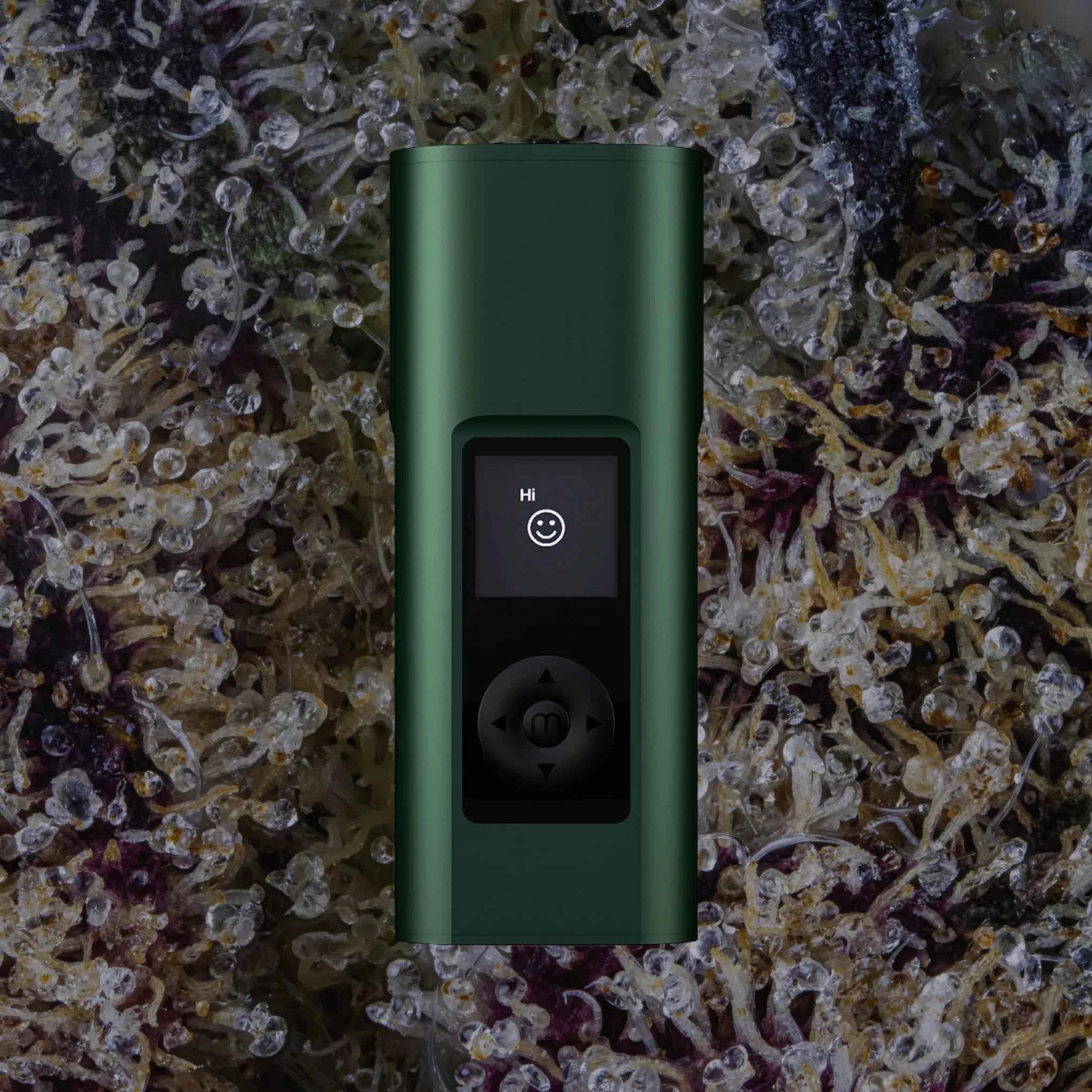 Arizer Solo III V2 Sea of Green | Trichly