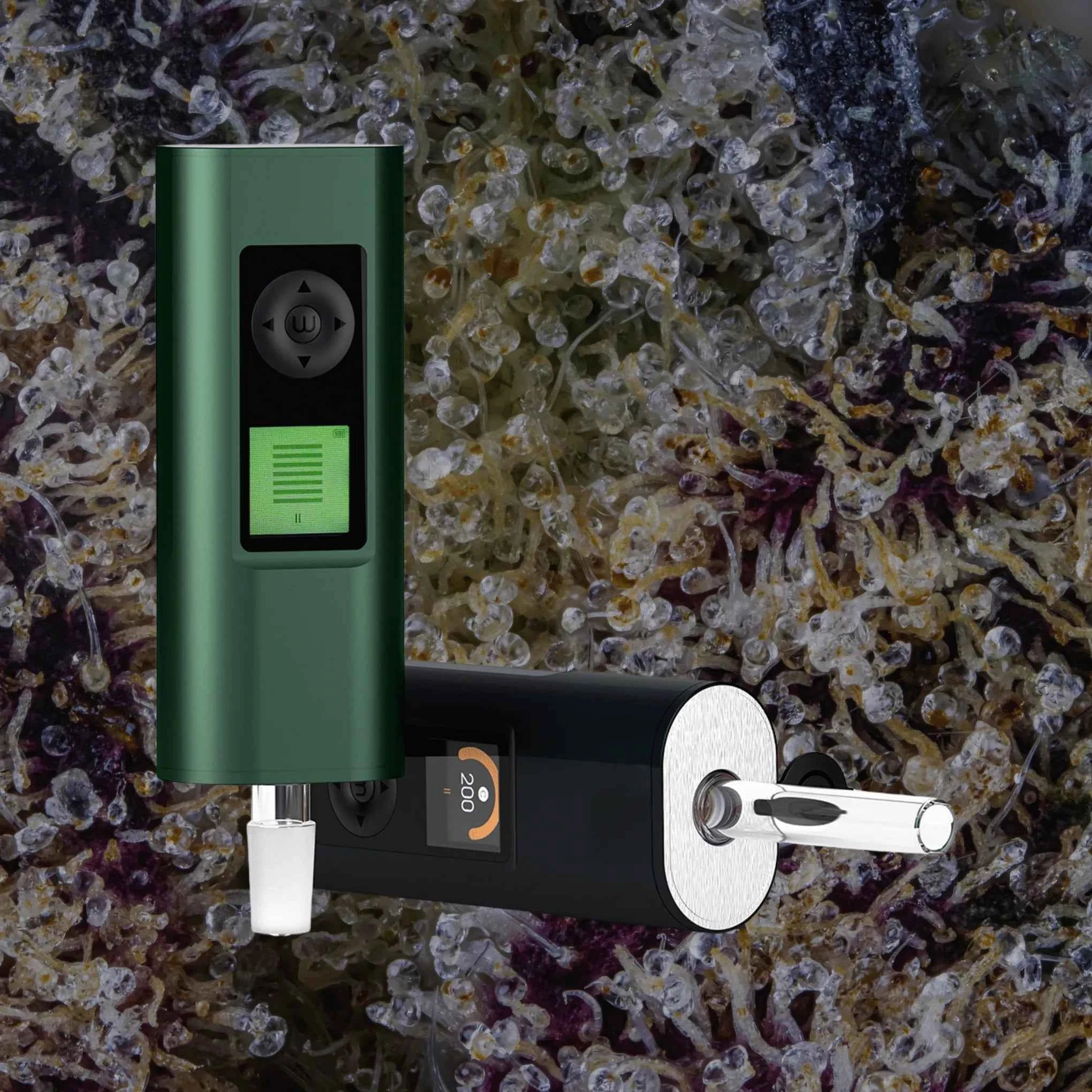 Arizer Solo III V2 Sea of Green | Trichly