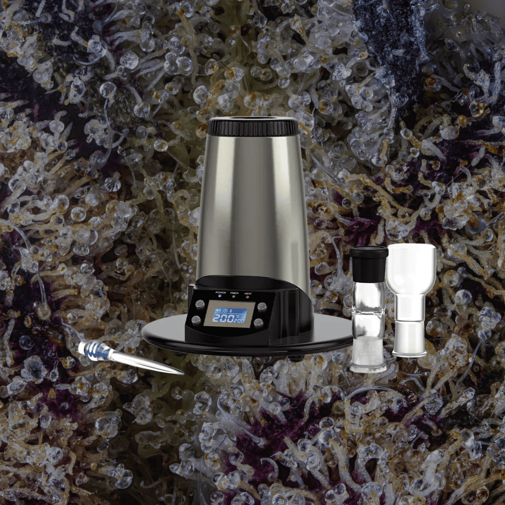 Arizer V - Tower | Trichly