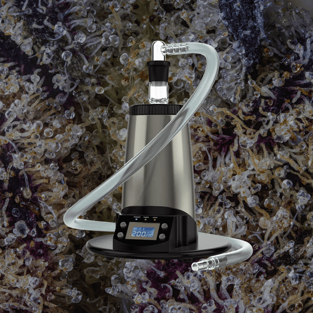 Arizer V - Tower | Trichly