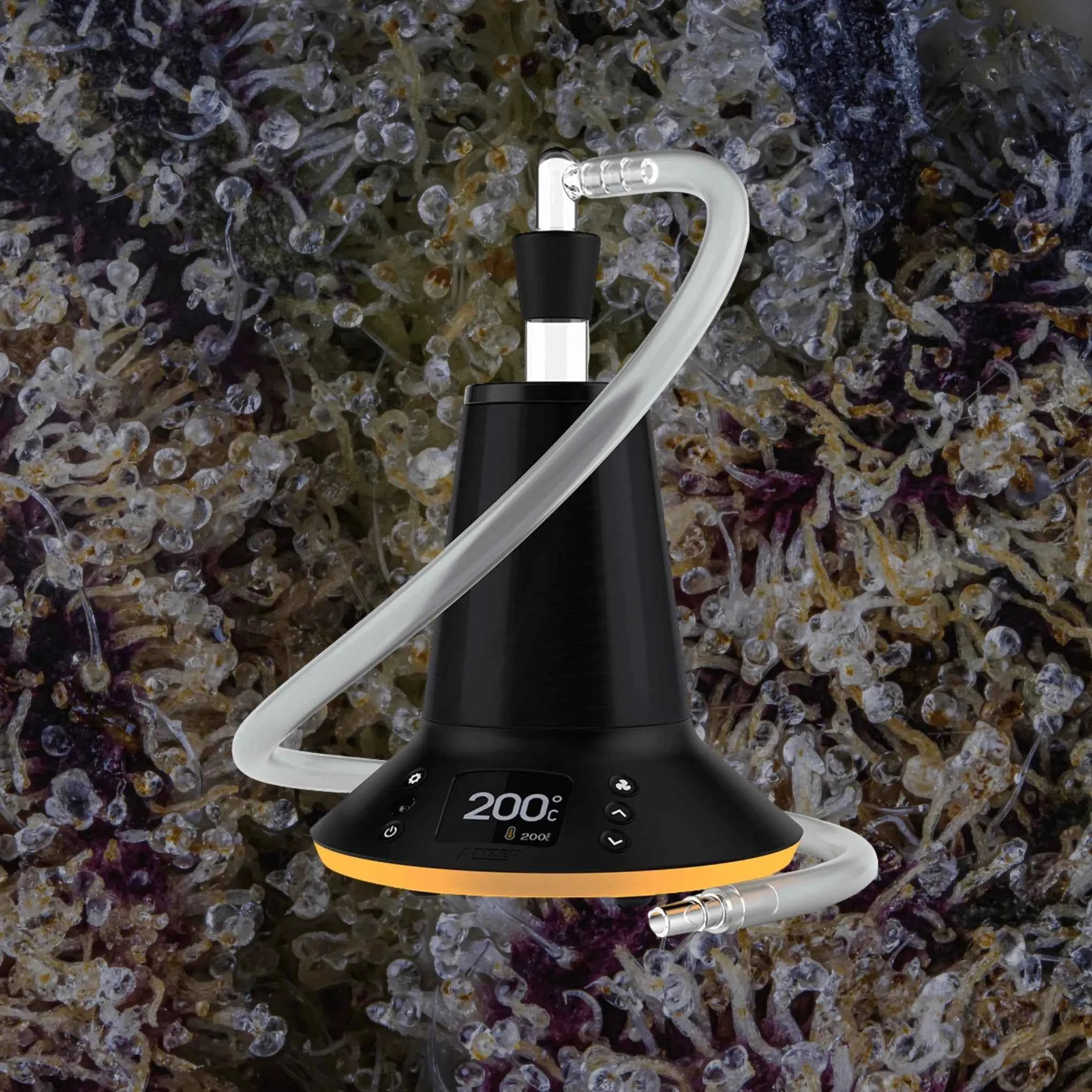 Arizer XQ2 | Trichly