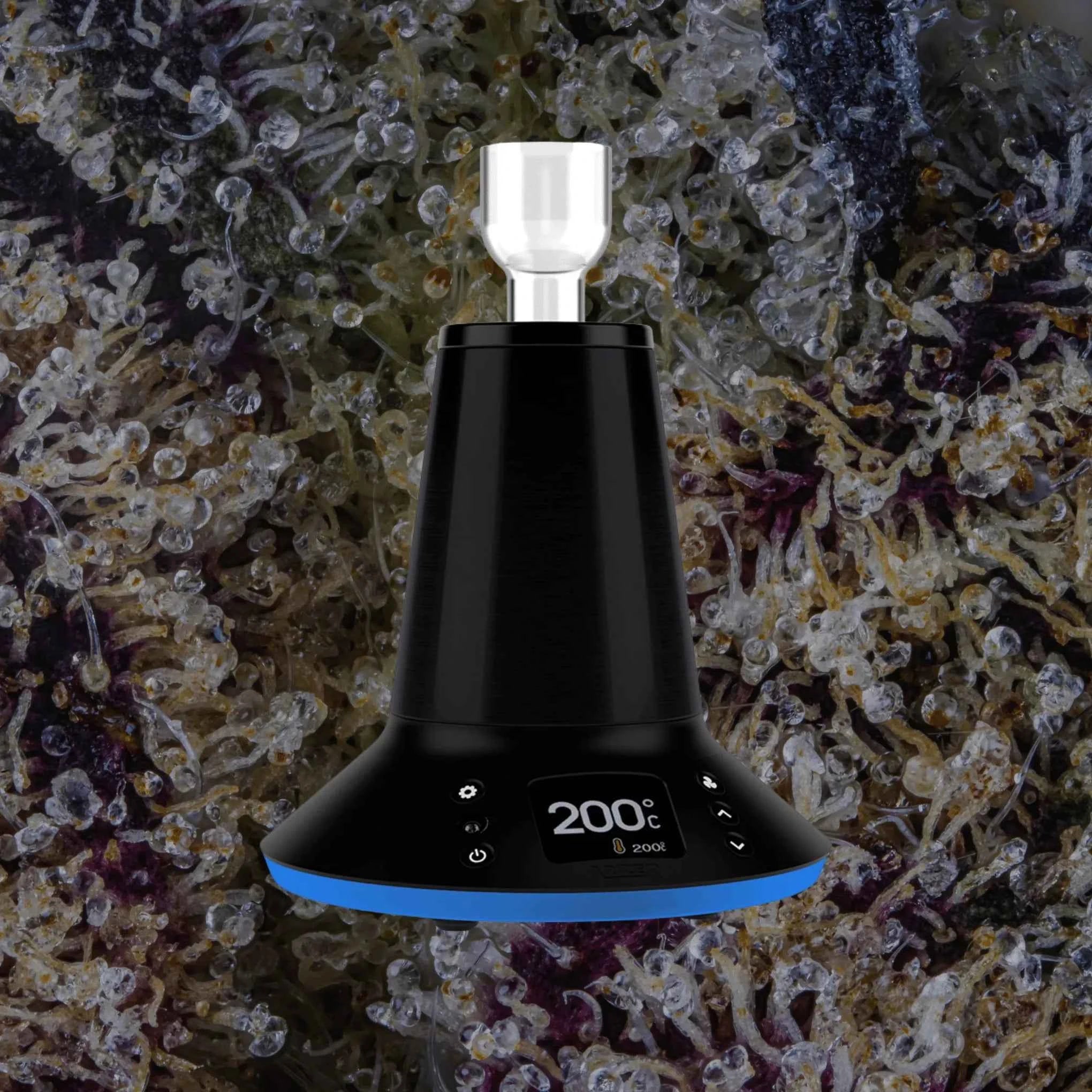 Arizer XQ2 | Trichly