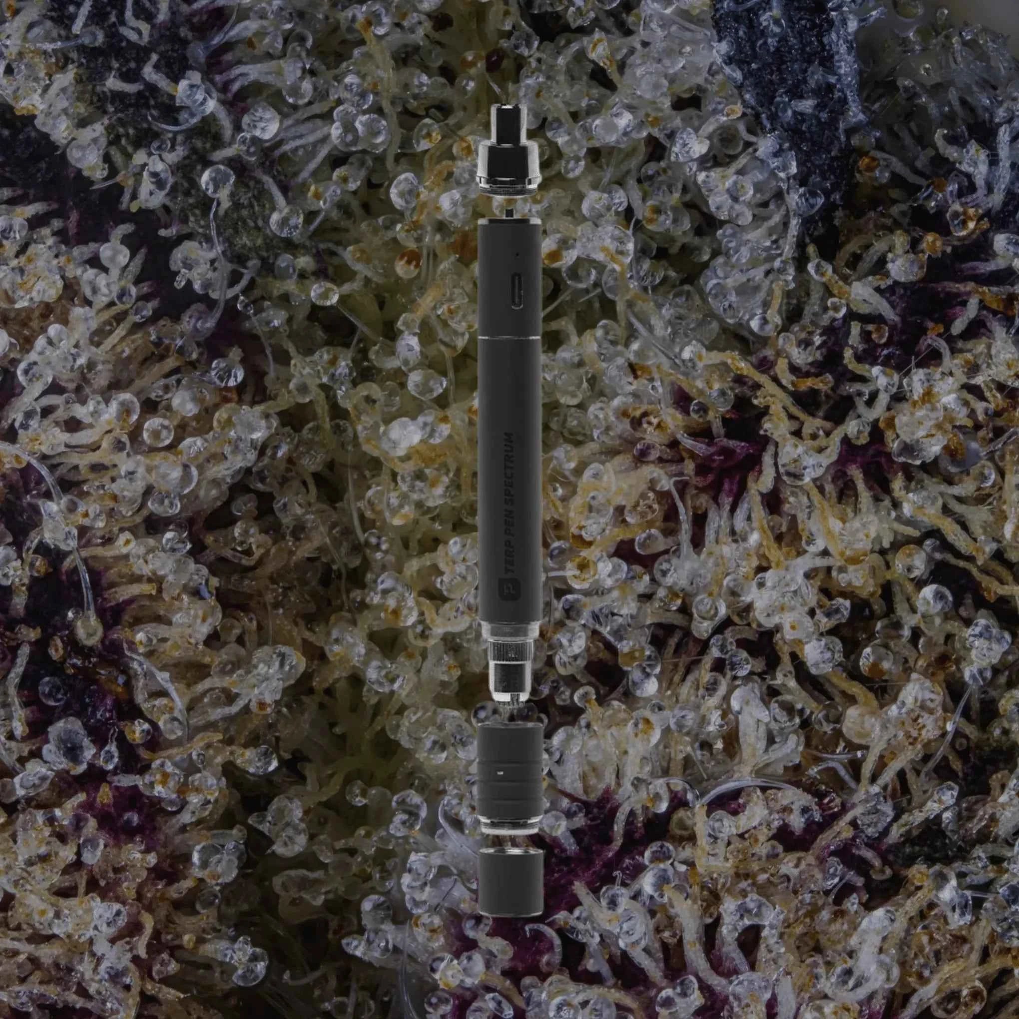 Boundless Technology Terp Pen Spectrum Black | Trichly