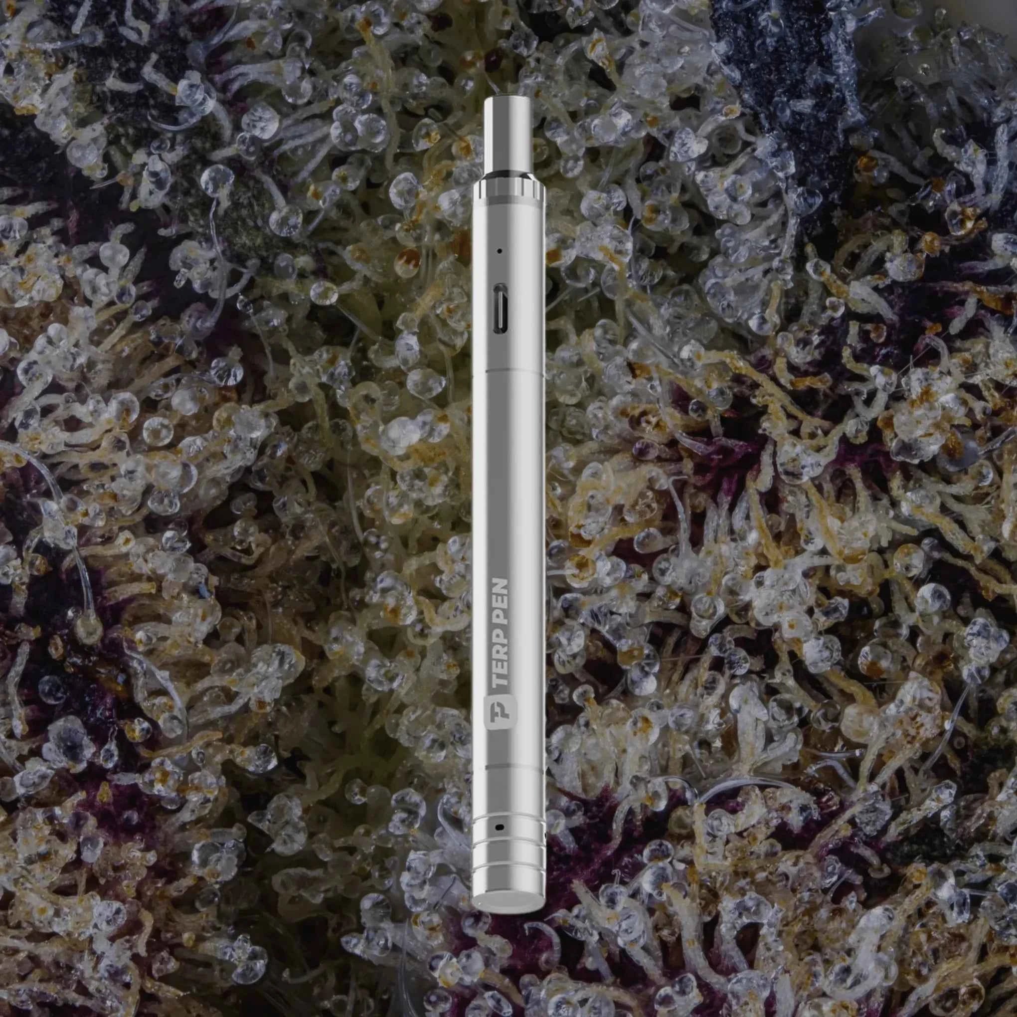 Boundless Technology Terp Pen V2 Stainless Steel | Trichly