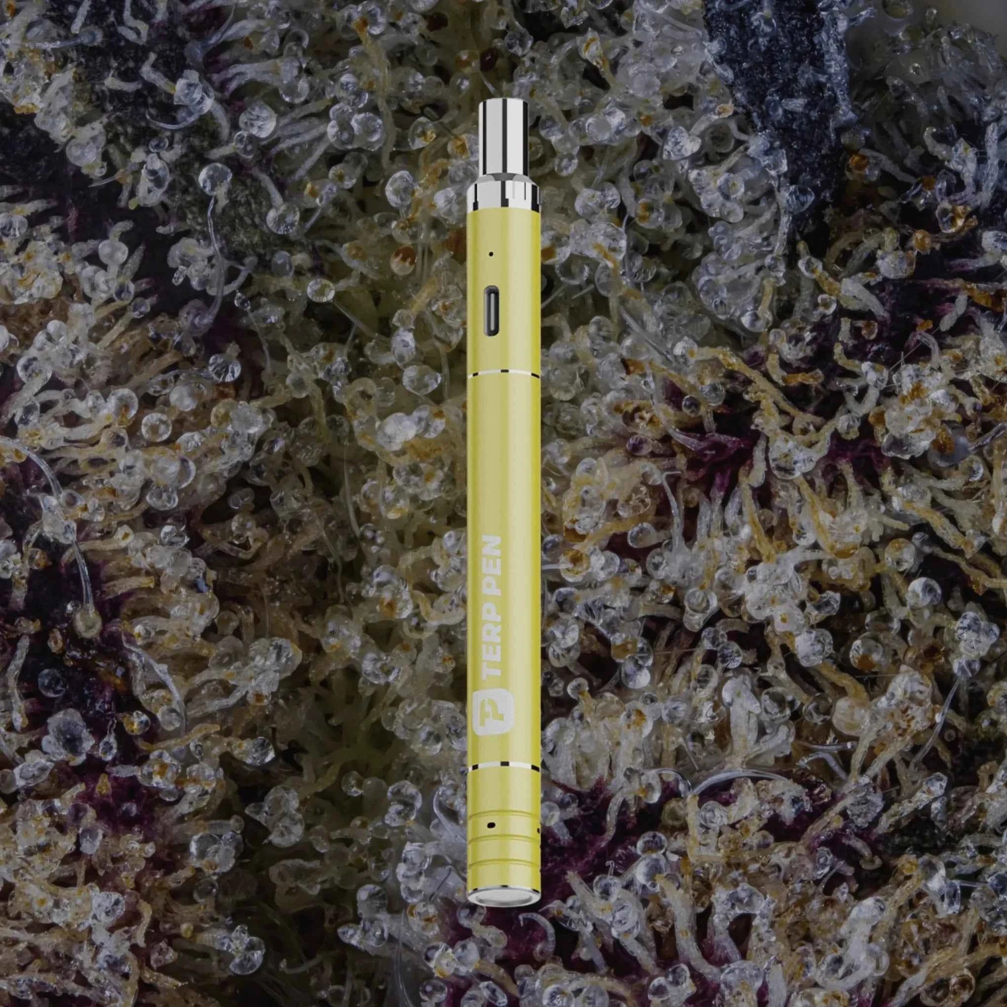 Boundless Technology Terp Pen V2 Yellow | Trichly