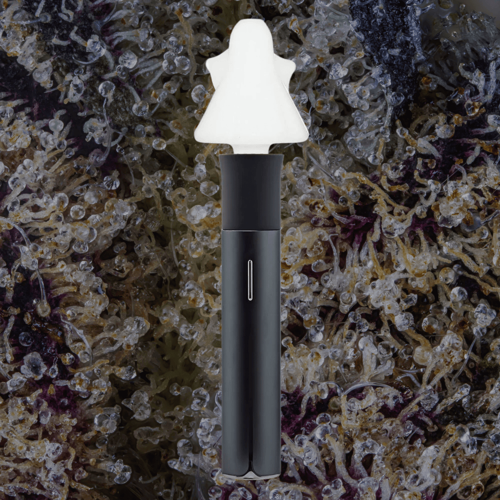 Calibear Ghost Puffco Pivot Mouthpiece | Trichly