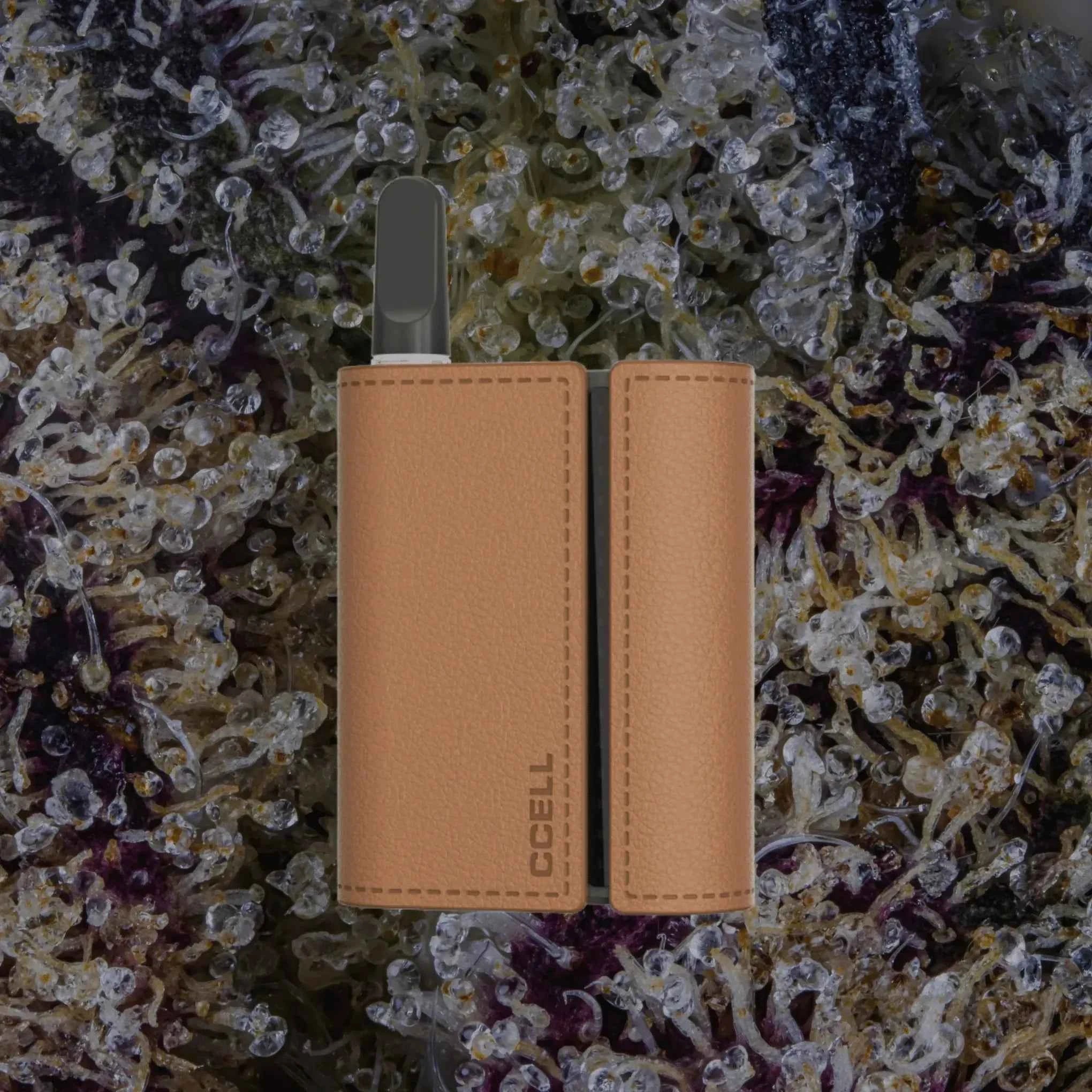 CCELL Fino Cocoa/Moon Gray | Trichly