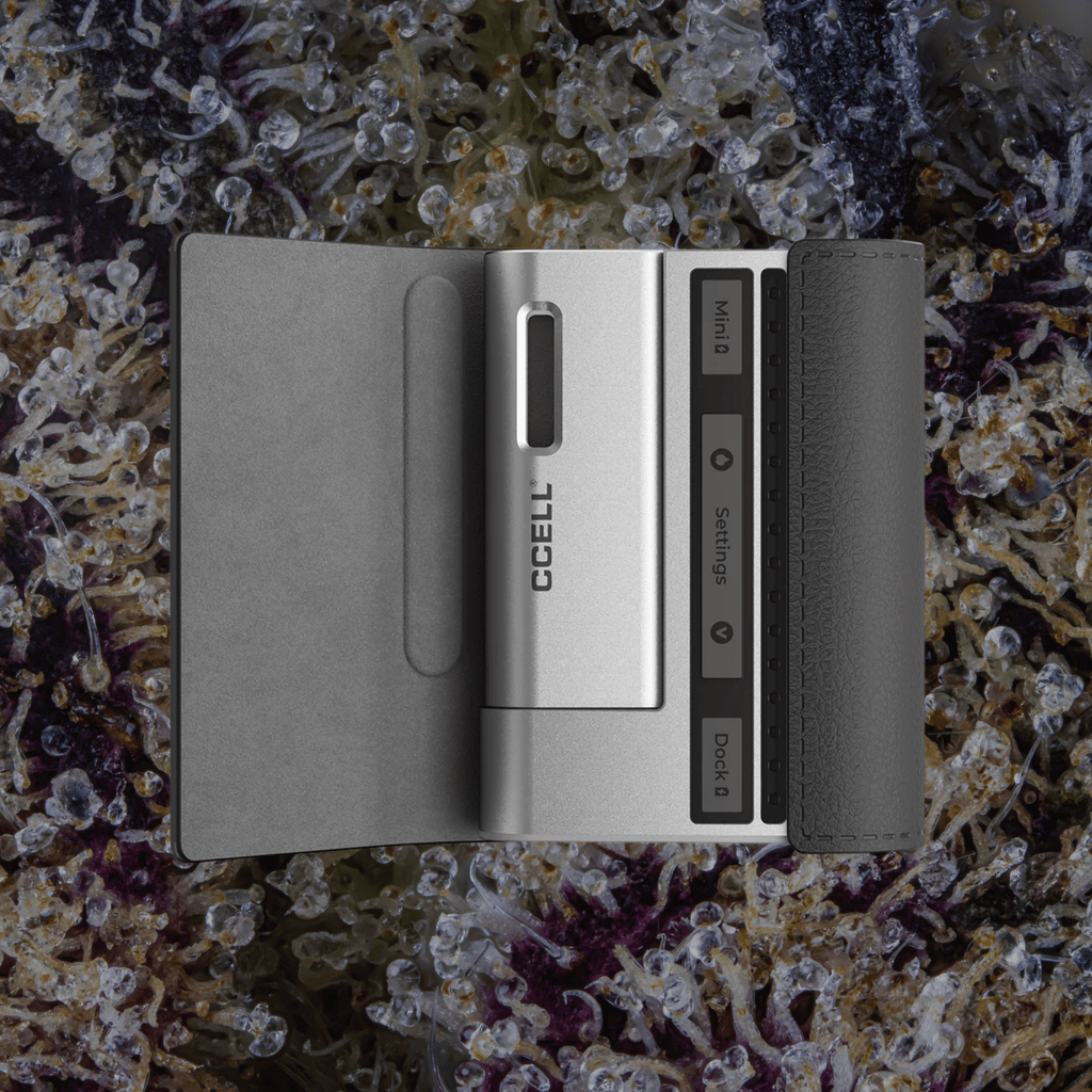 CCELL Fino Obsidian/Platinum | Trichly